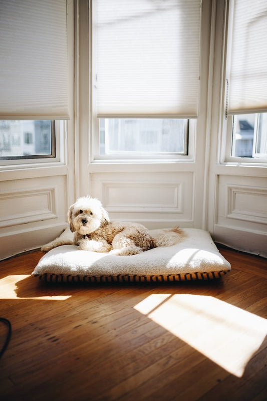 9 INDOR PHOTOGRAPHY TIPS FOR CAPTURING AMAZING PHOTOS