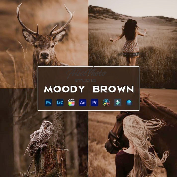 The Master Lightroom Presets Bundle