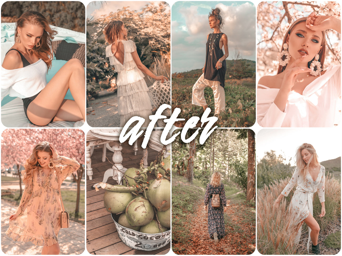 Melon - Alicephotostudio