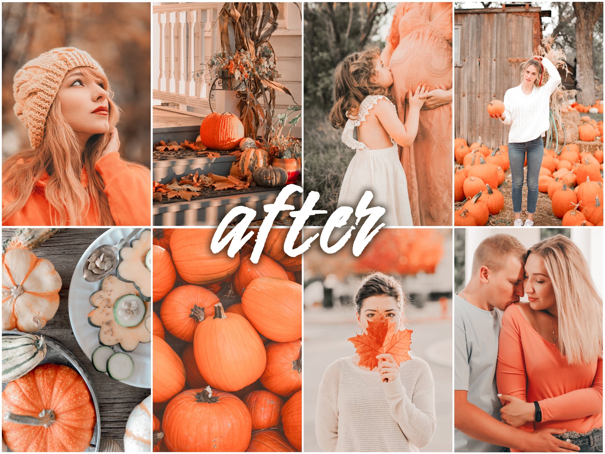 Pumpkin Pack - Alicephotostudio