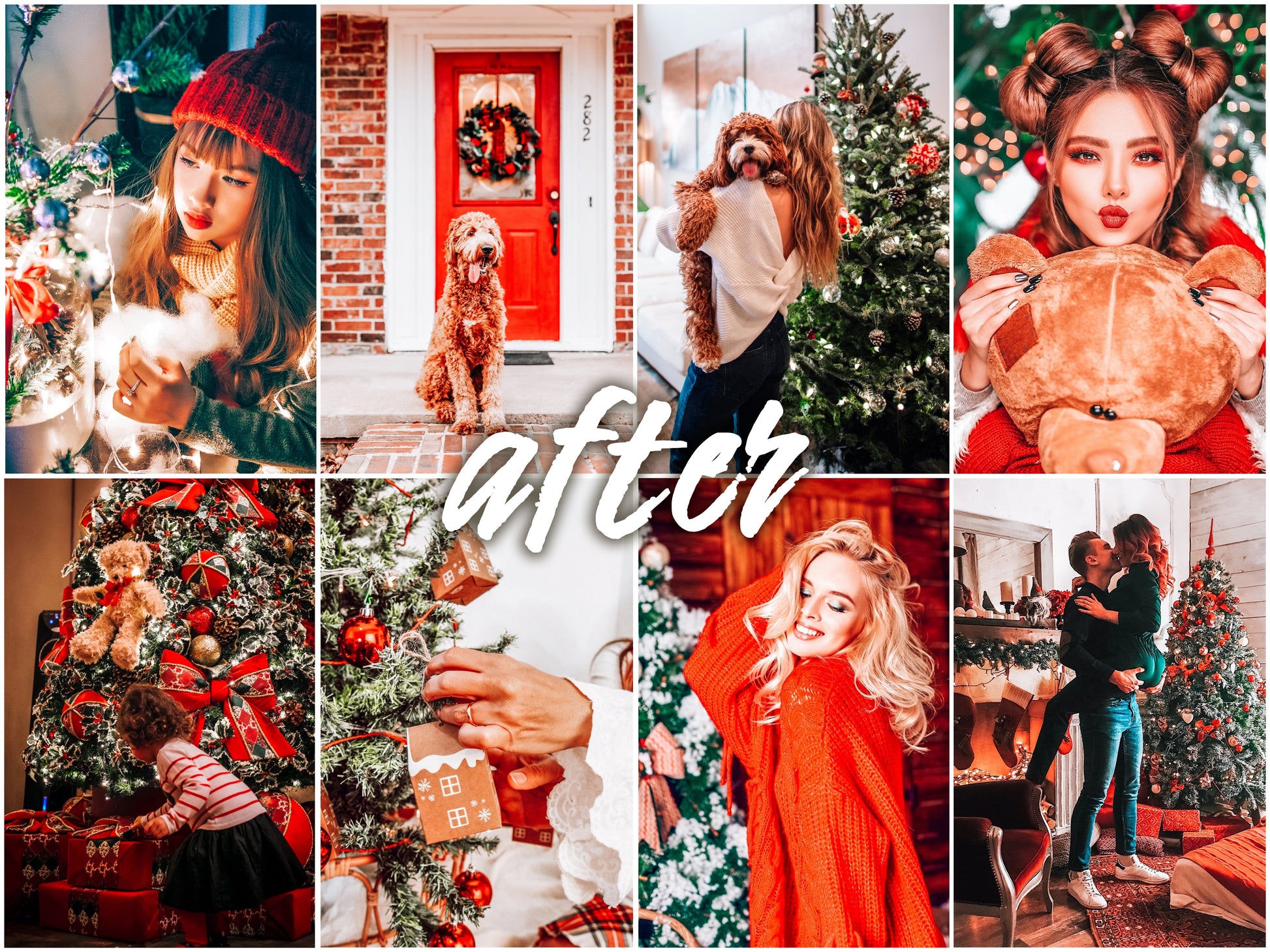 Xmas Pack - Alicephotostudio