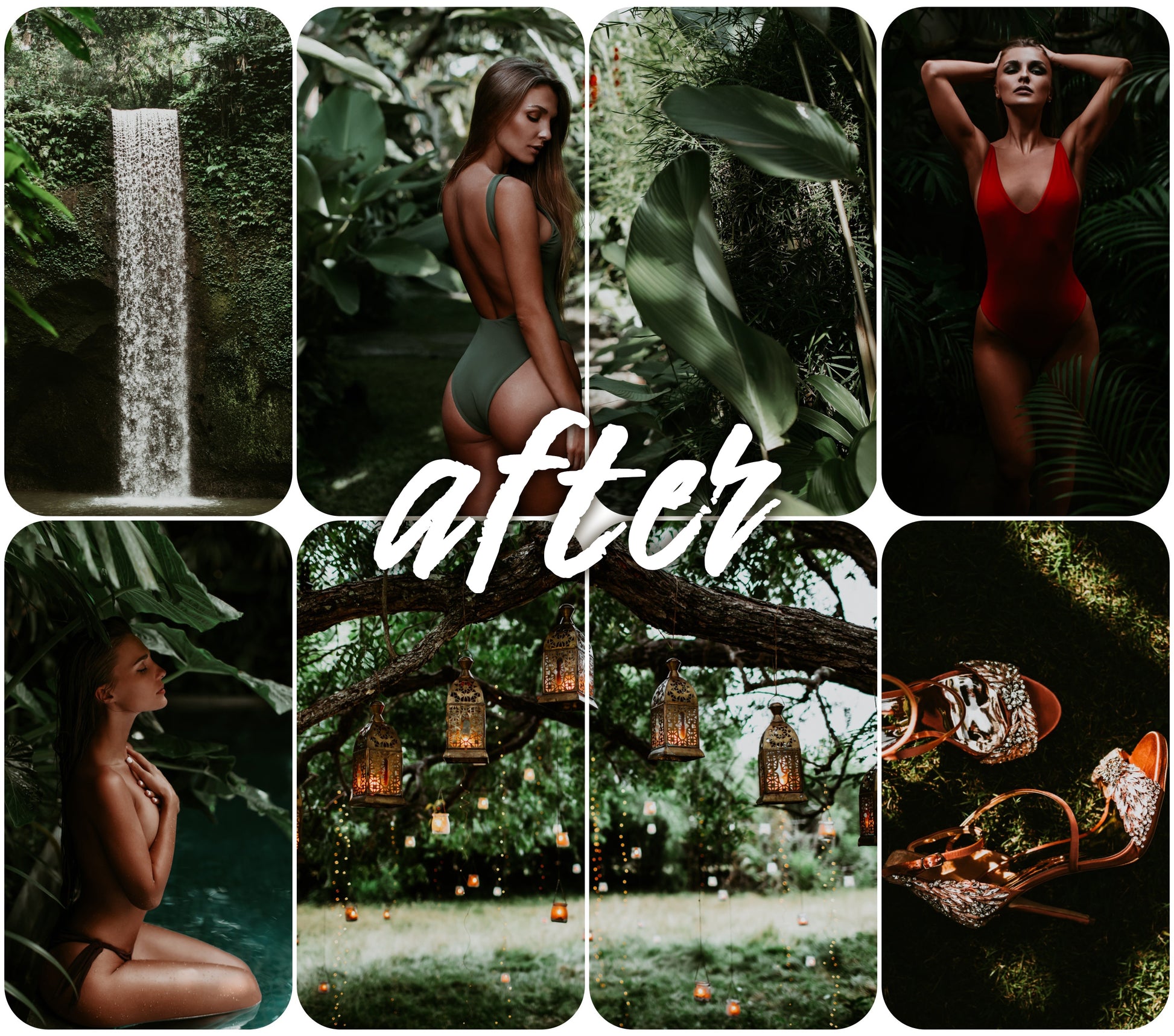Moody Tones - Alicephotostudio