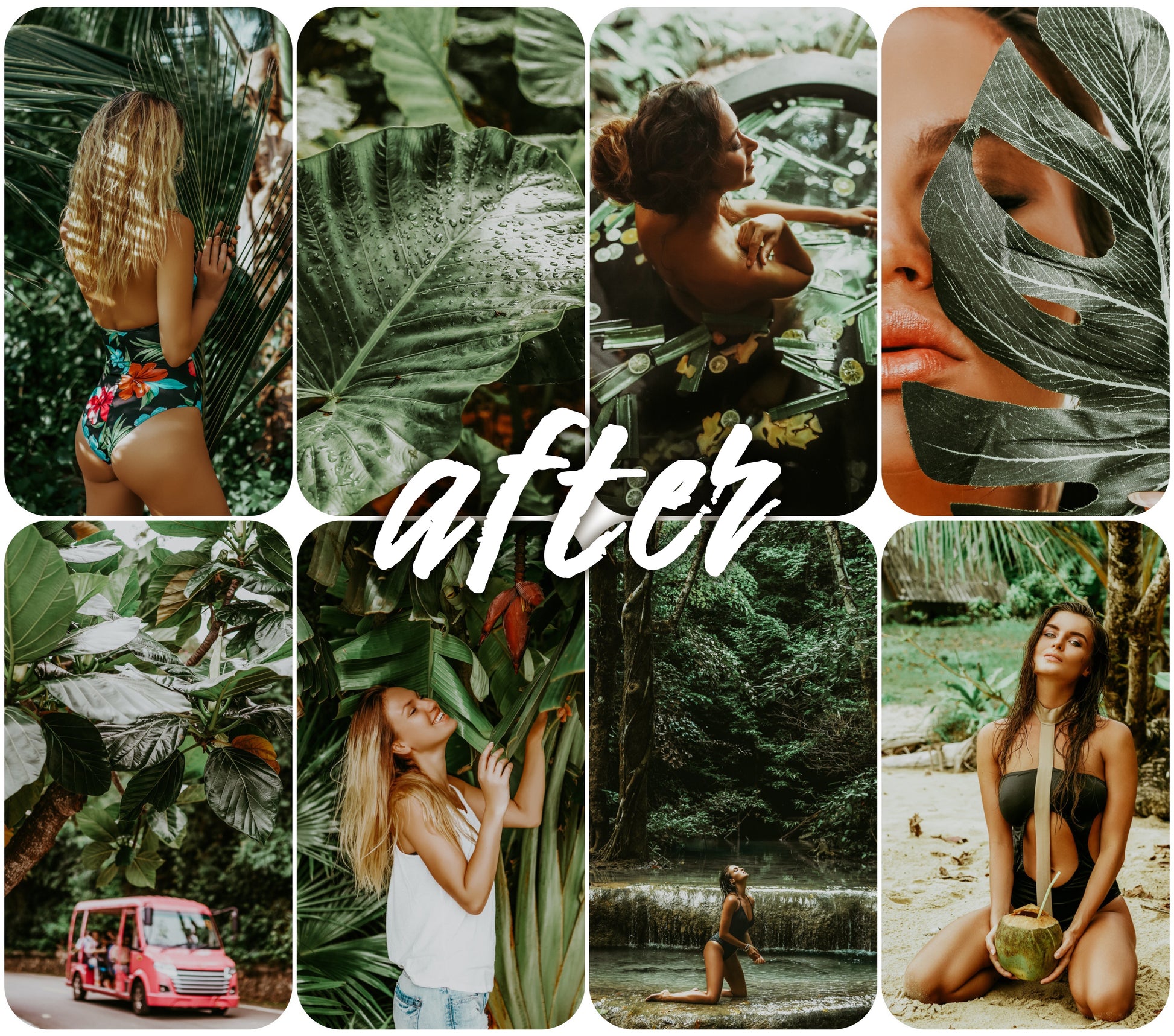 Hot Tropics - Alicephotostudio