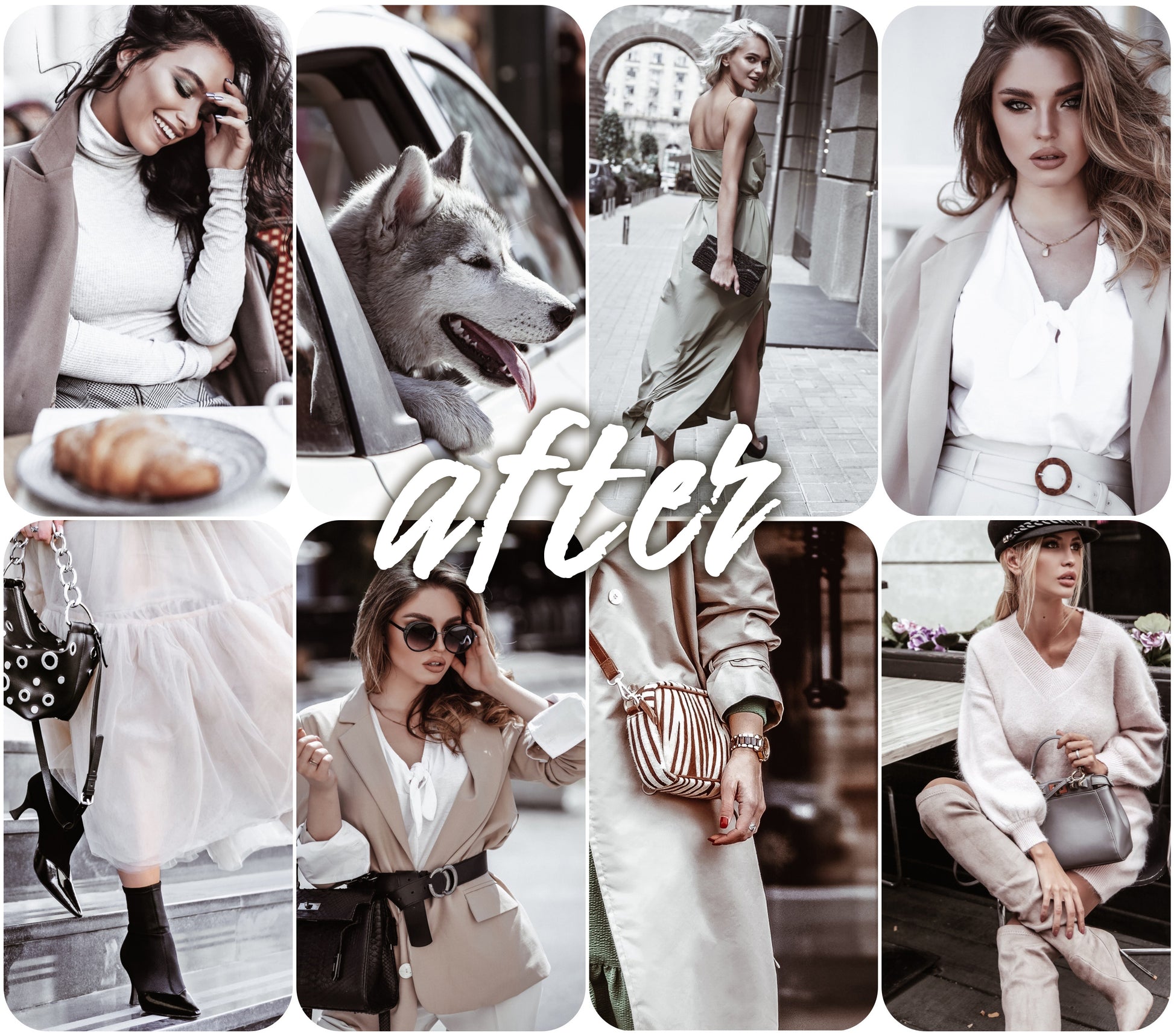Life Style - Alicephotostudio