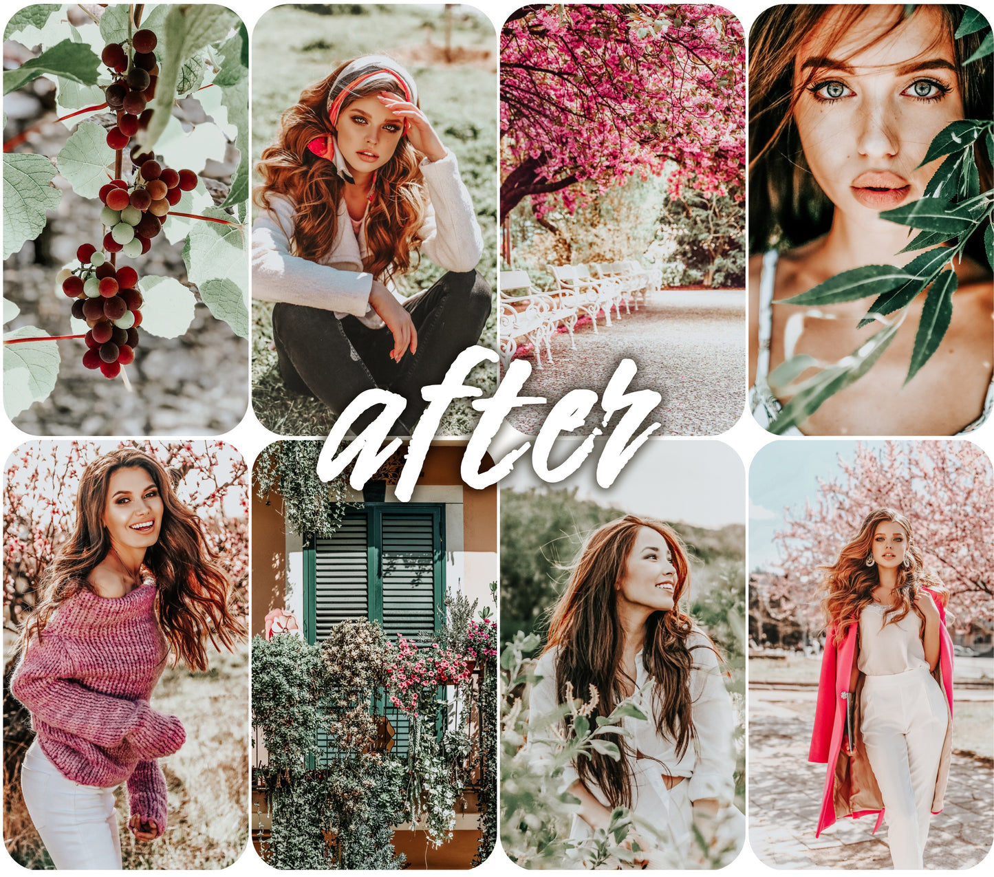 Sun Light - Alicephotostudio