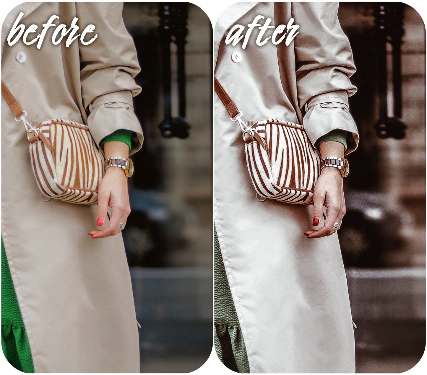 Life Style - Alicephotostudio