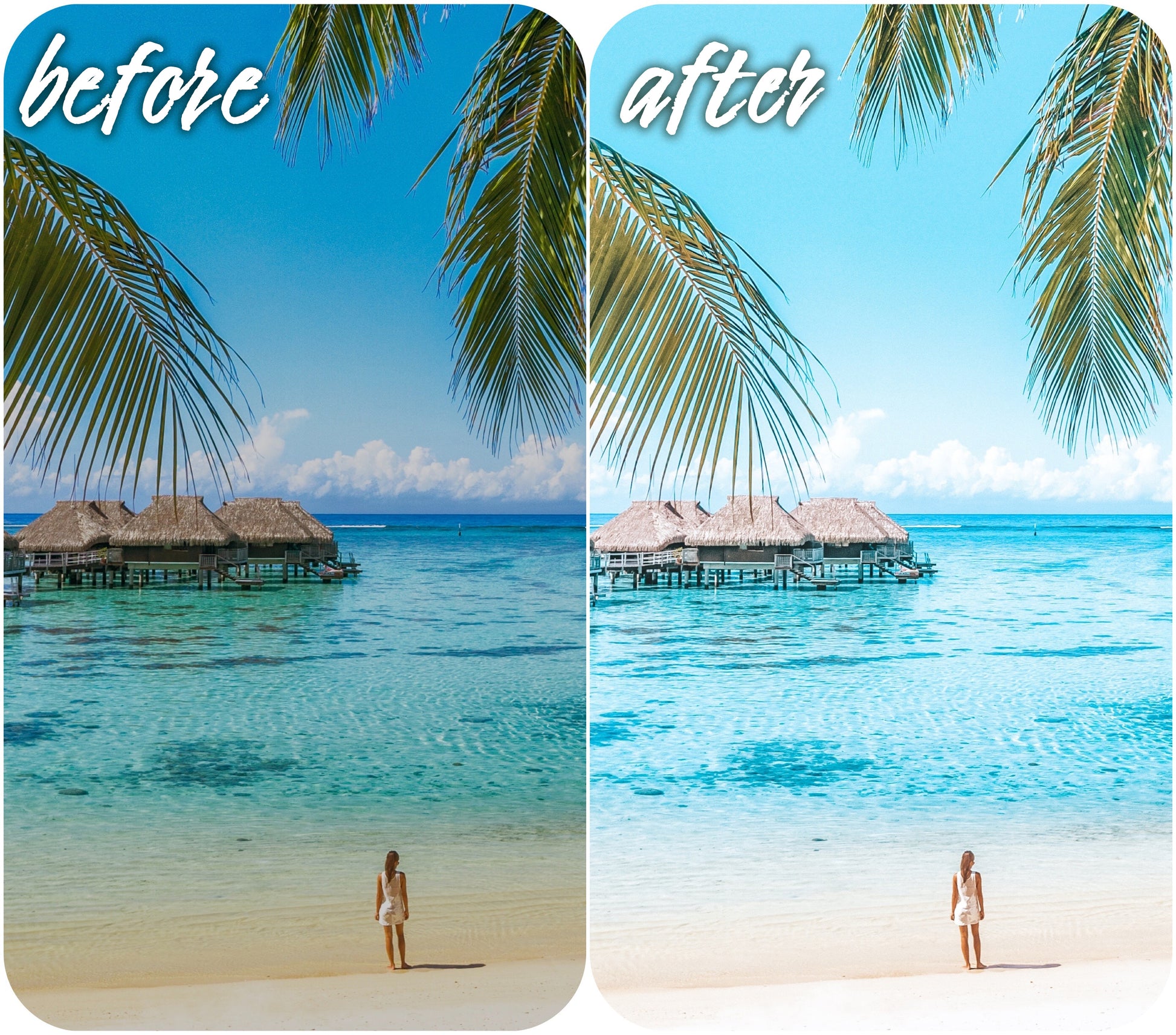 Blue Island - Alicephotostudio