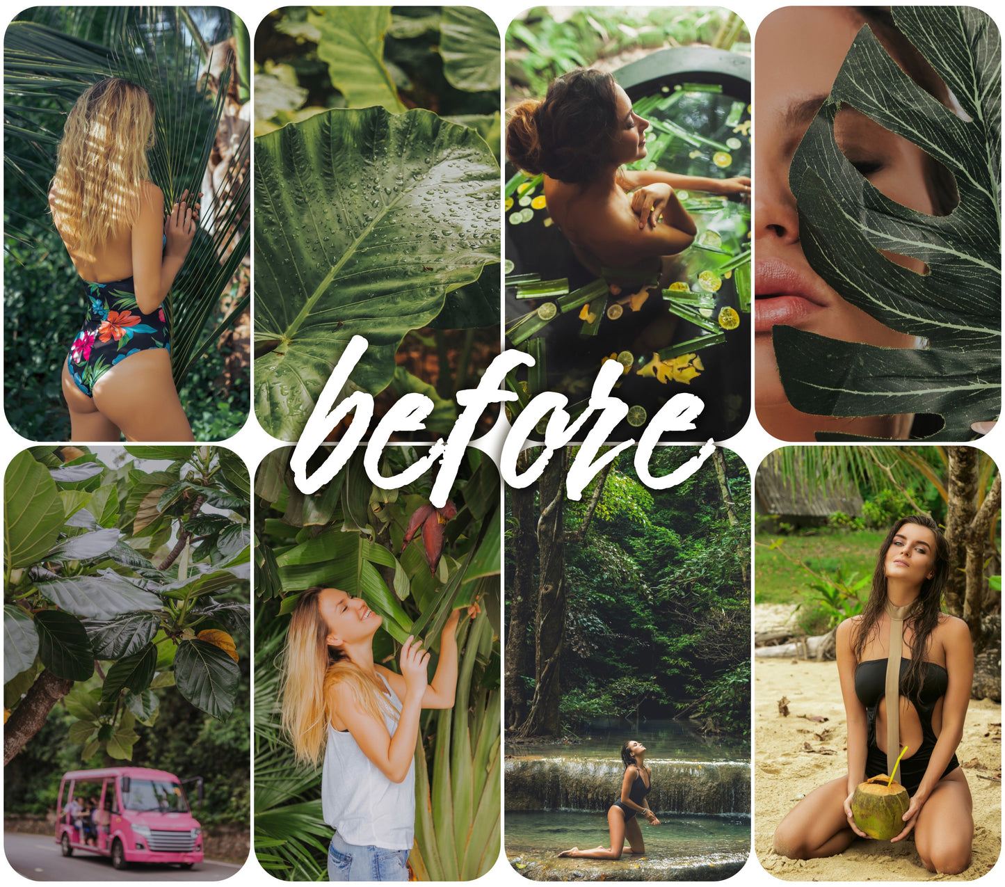 Hot Tropics - Alicephotostudio