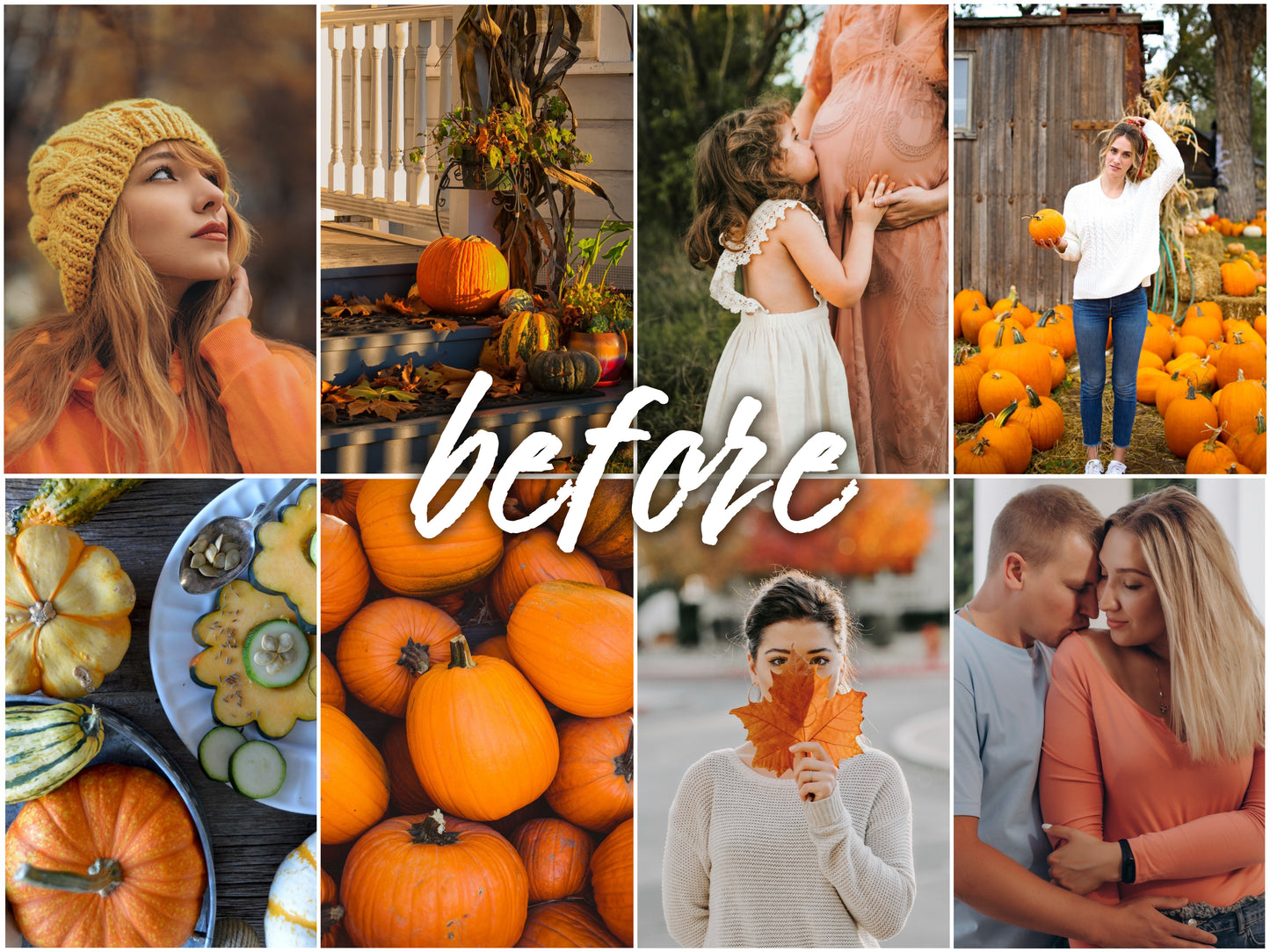 Pumpkin Pack - Alicephotostudio