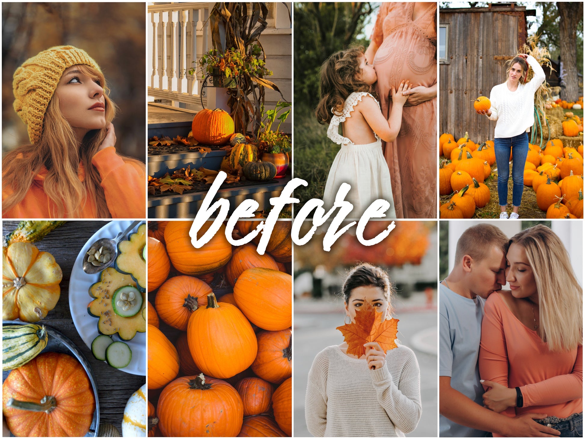 Pumpkin Pack - Alicephotostudio
