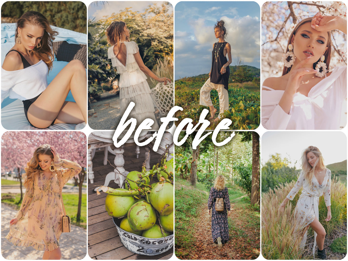 Melon - Alicephotostudio