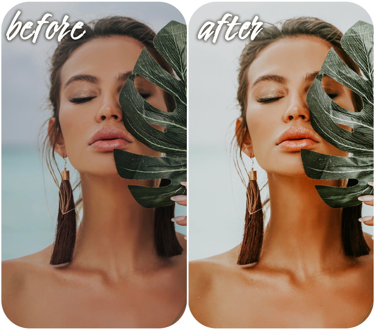 Hot Tropics - Alicephotostudio
