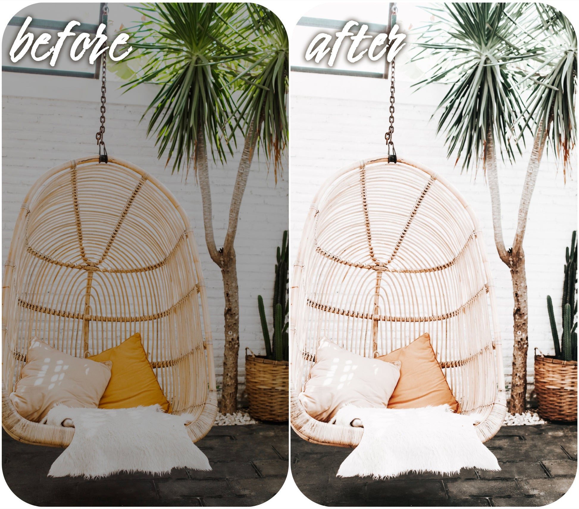 It's White - Alicephotostudio