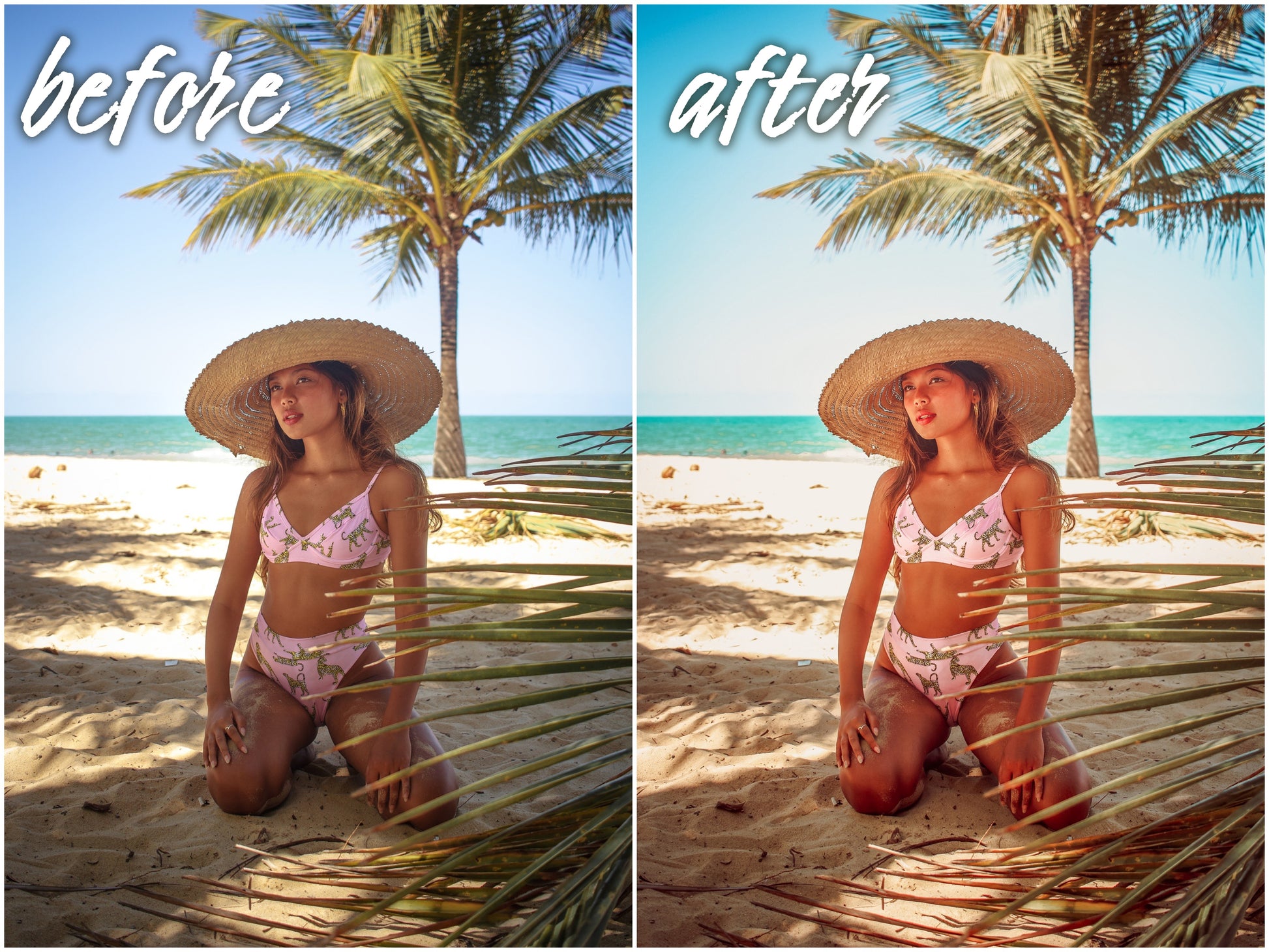 Travel Pack - Alicephotostudio