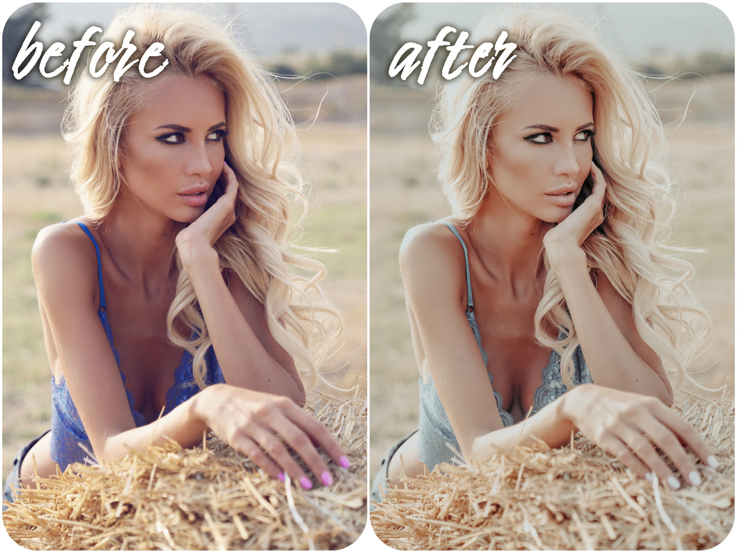 Champagne Pack - Alicephotostudio