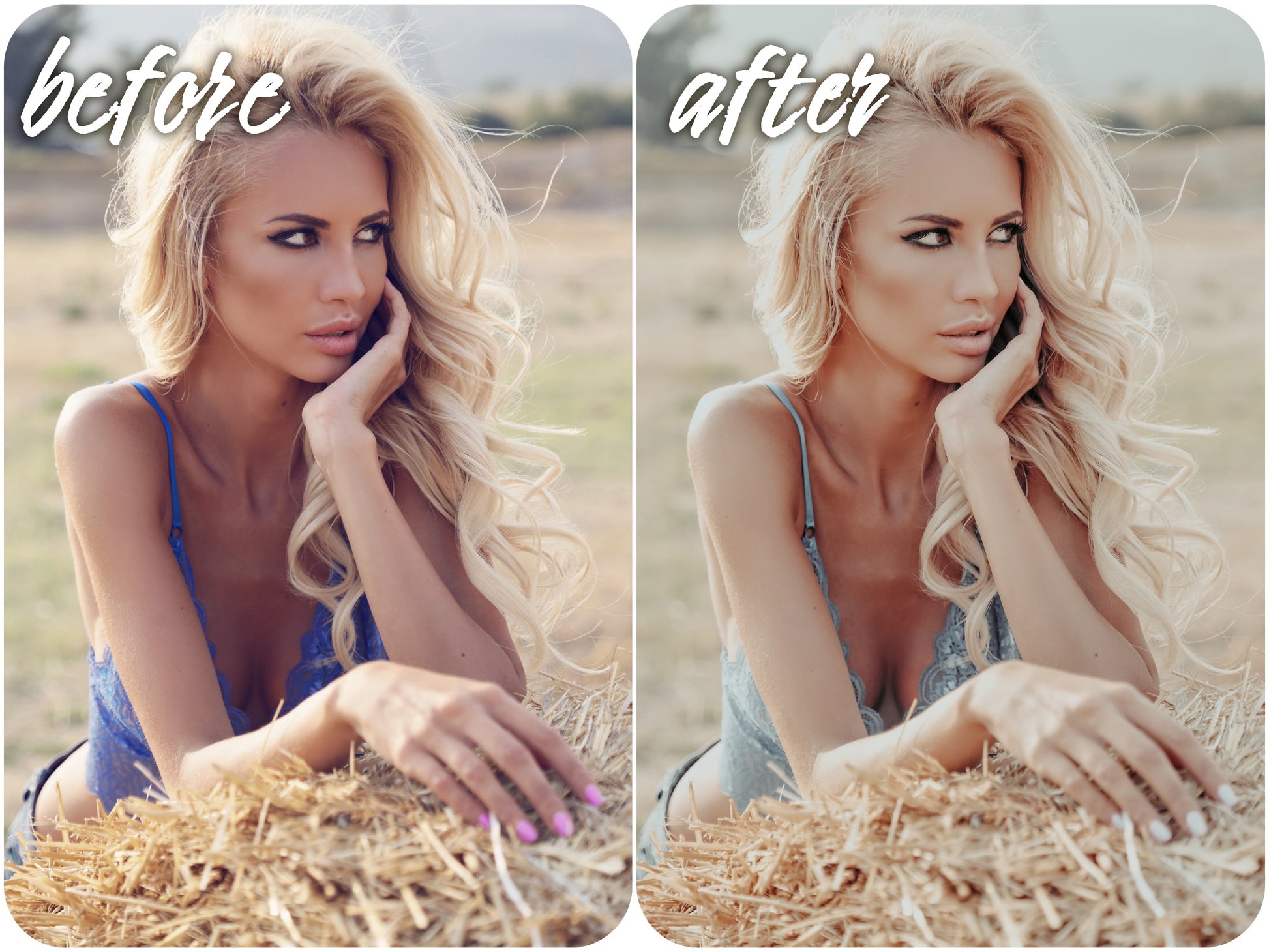 Champagne Pack - Alicephotostudio