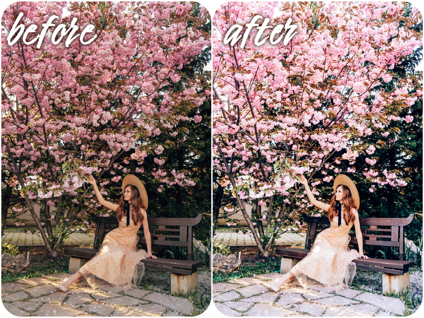 Bright Pack - Alicephotostudio