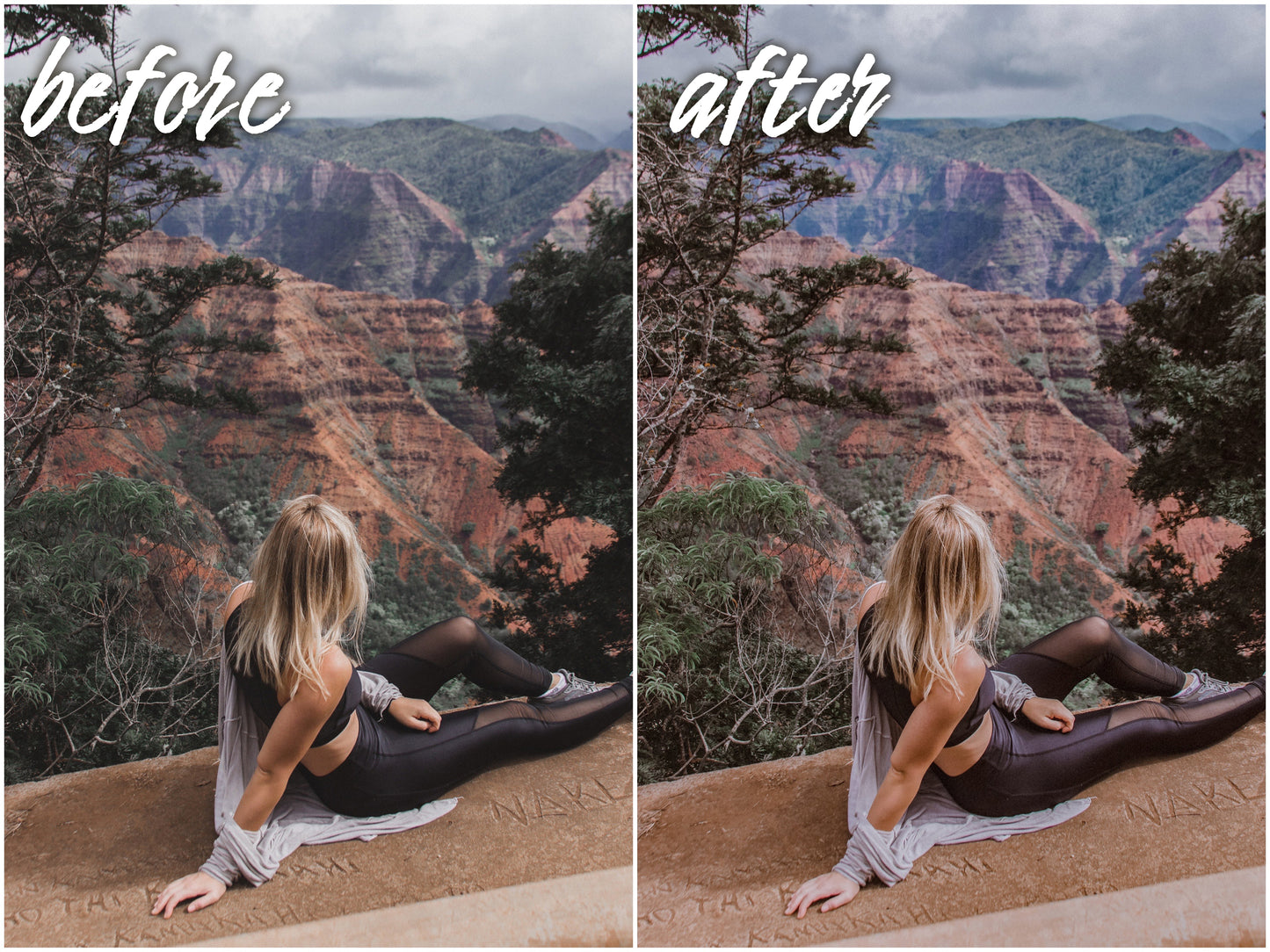 Wellness Blog Pack - Alicephotostudio
