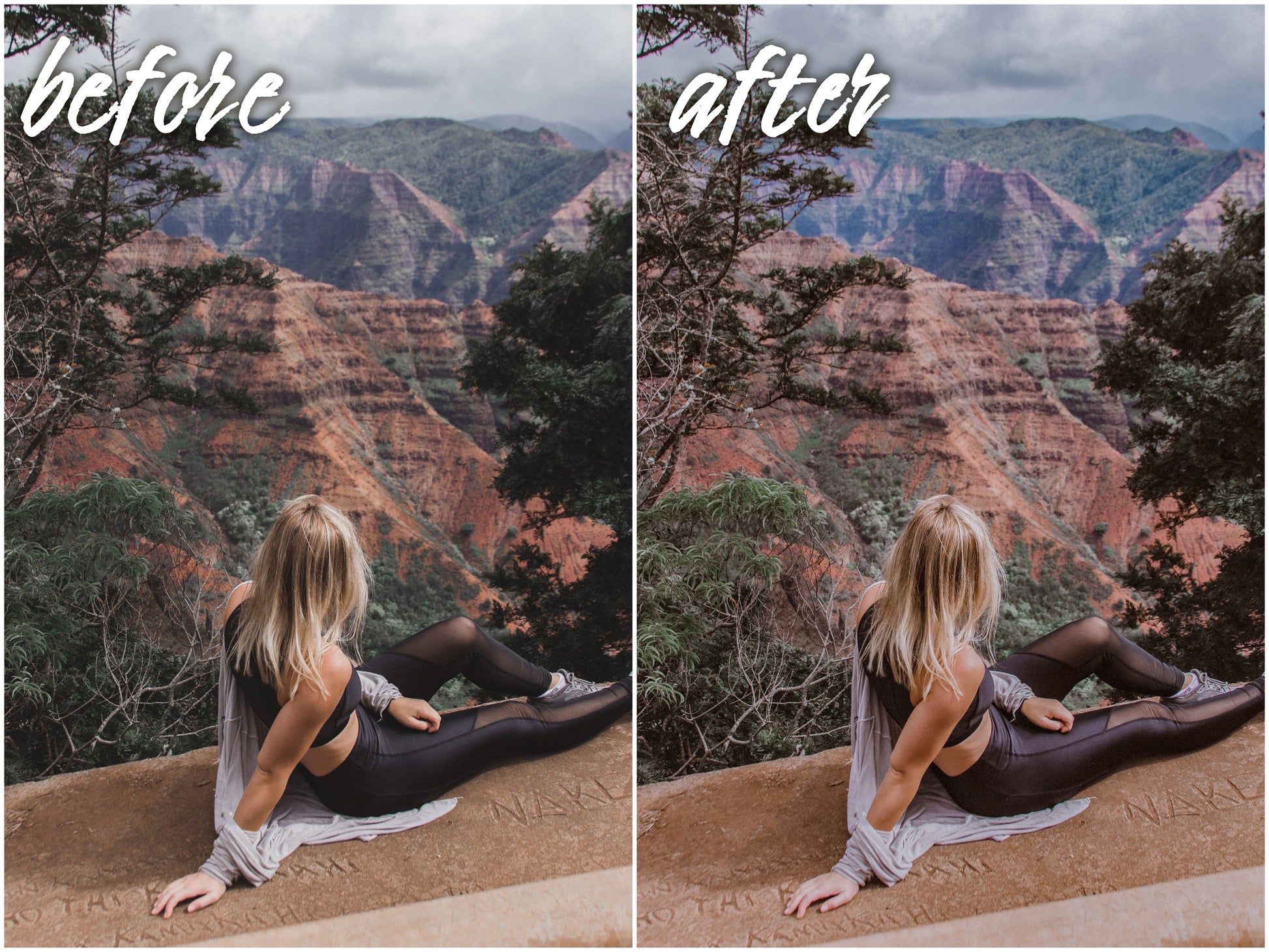 Wellness Blog Pack - Alicephotostudio