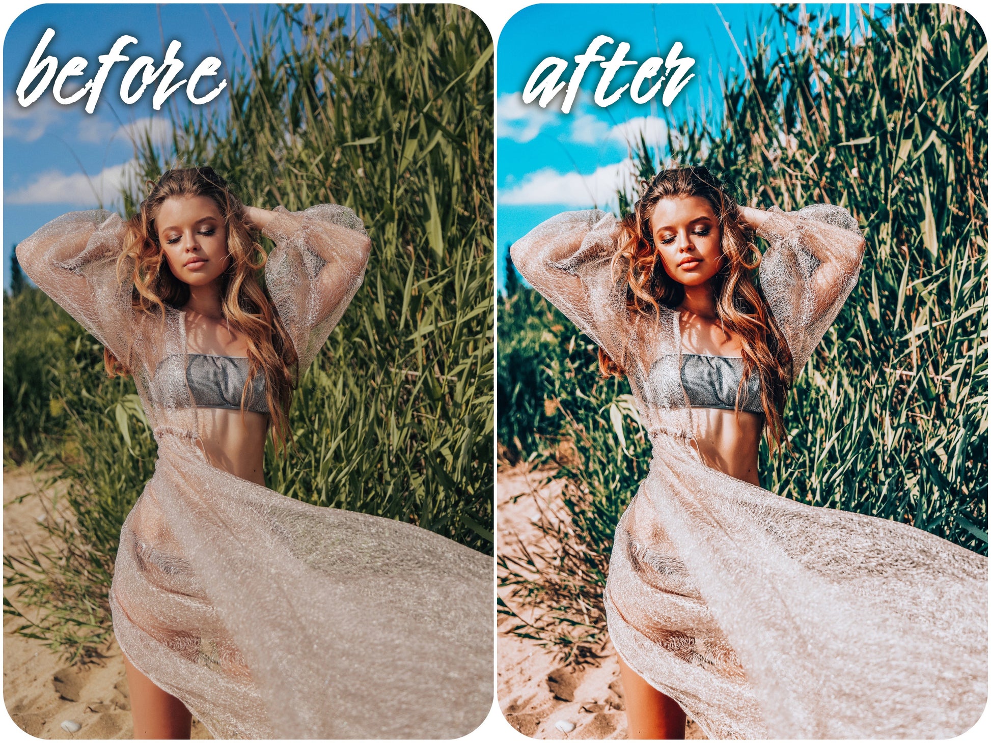 Vibrant Pack - Alicephotostudio