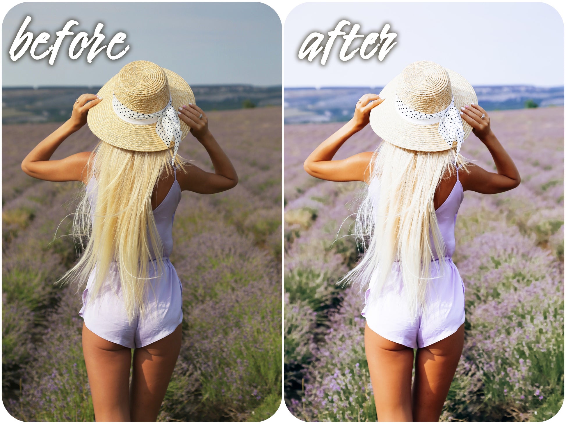 Bright Pack - Alicephotostudio