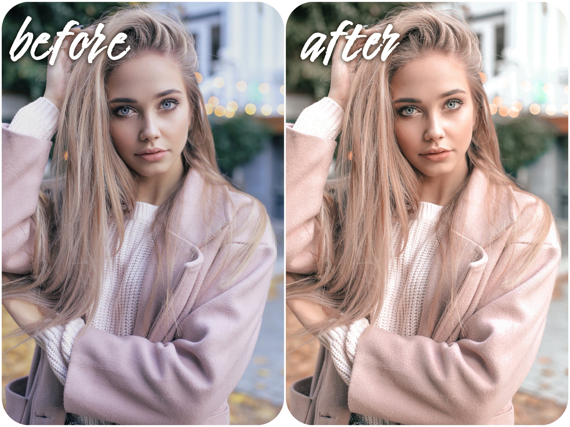 Melon - Alicephotostudio