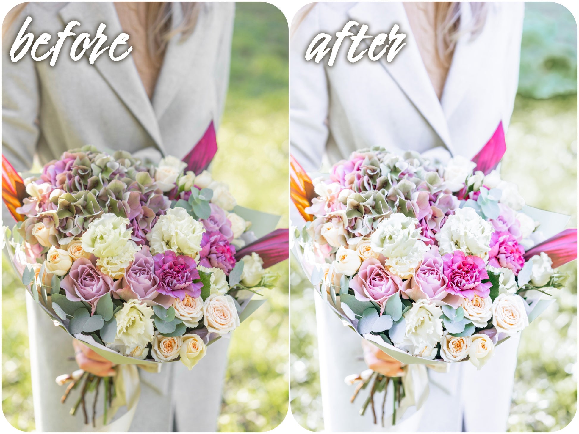 Bright Pack - Alicephotostudio
