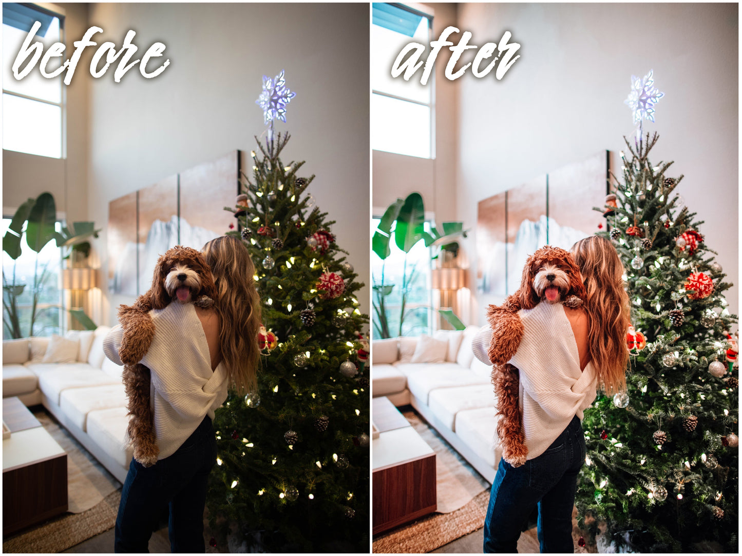 Xmas Pack - Alicephotostudio