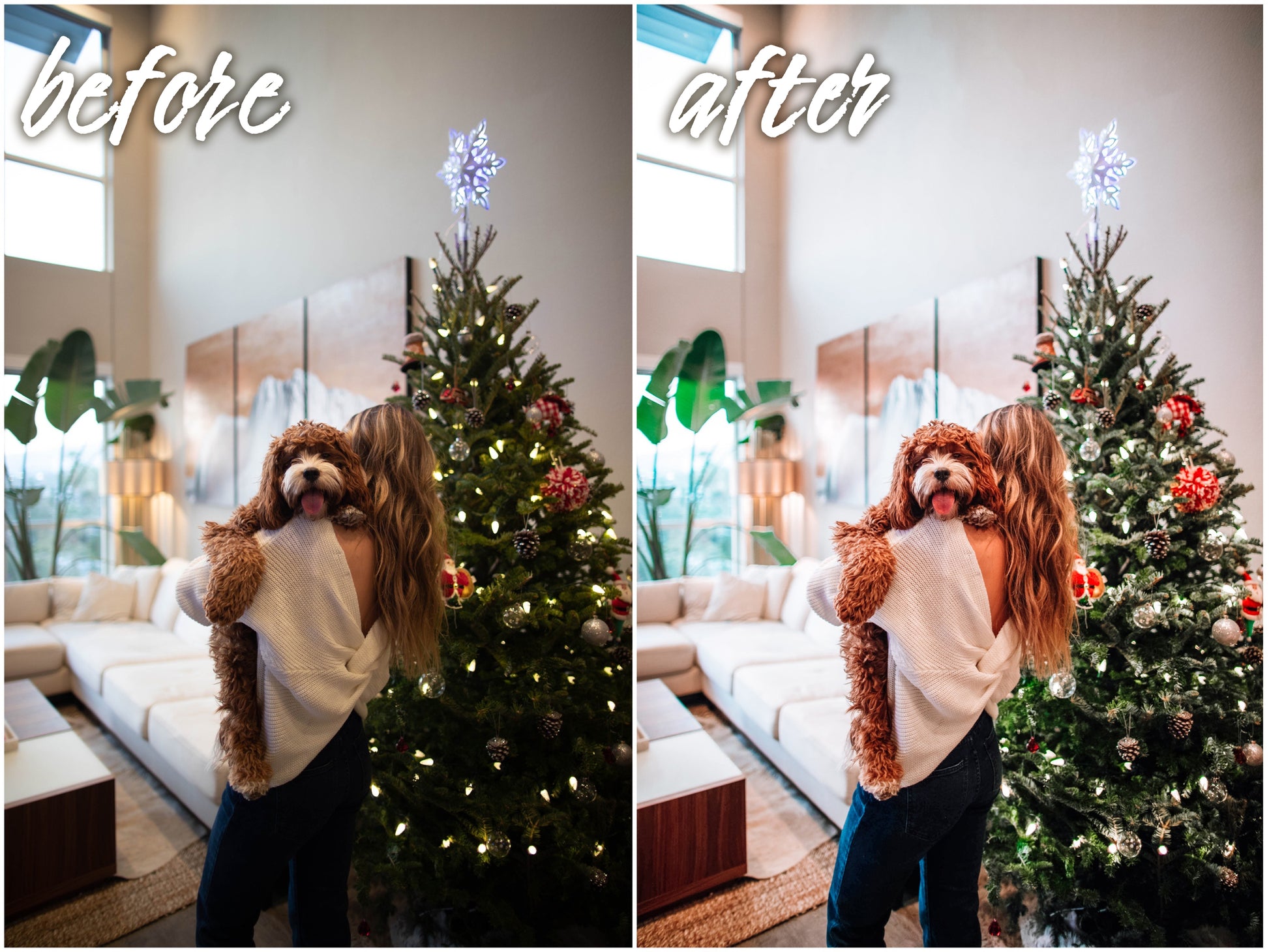 Xmas Pack - Alicephotostudio
