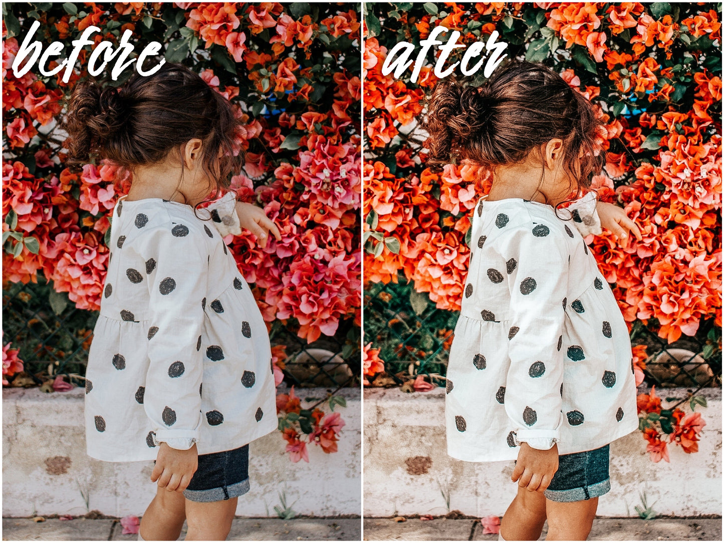 Blogger - Alicephotostudio
