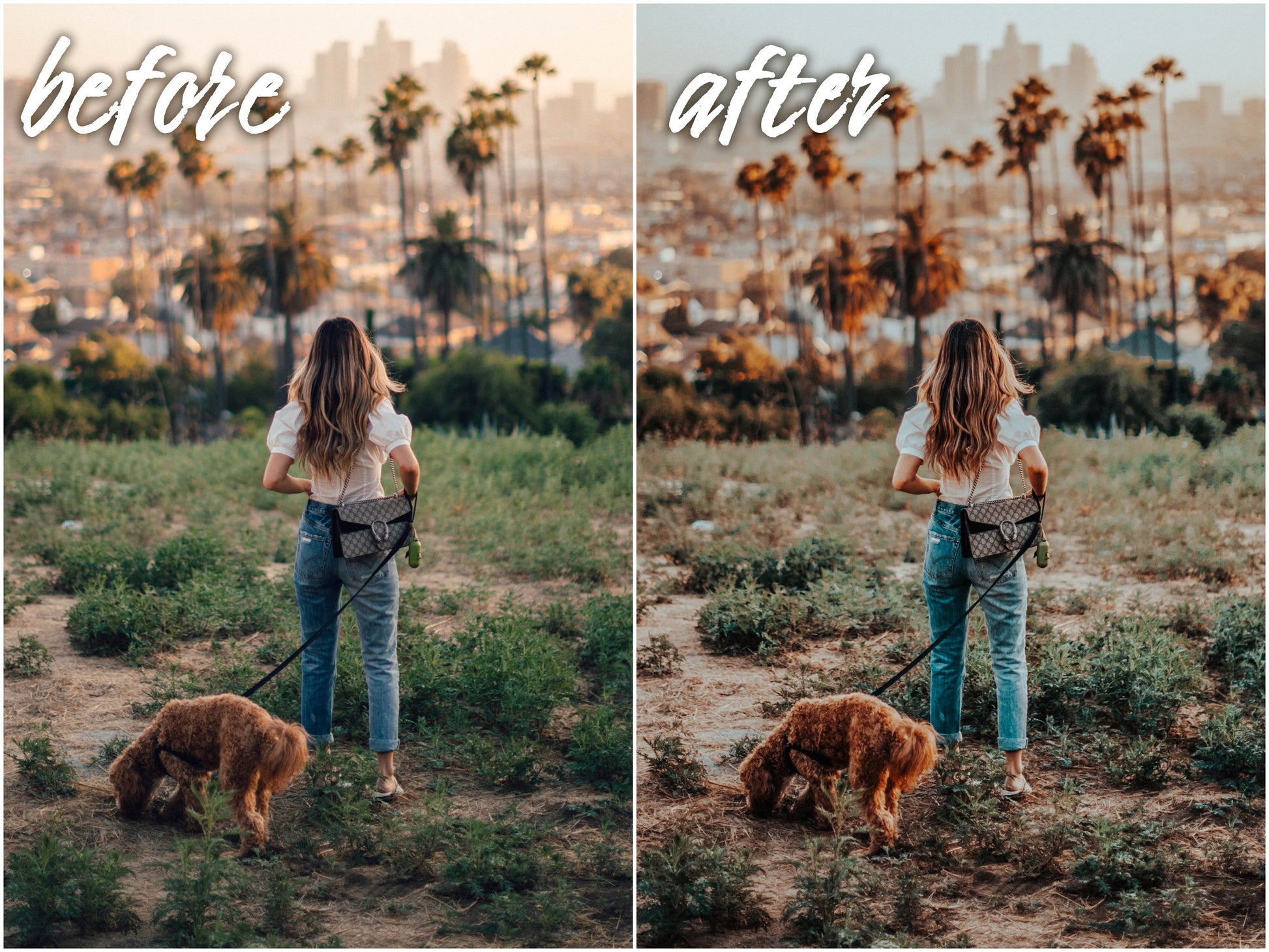 Flash Pack - Alicephotostudio