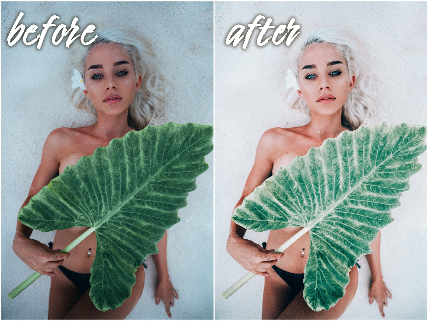 Pretty Pack - Alicephotostudio