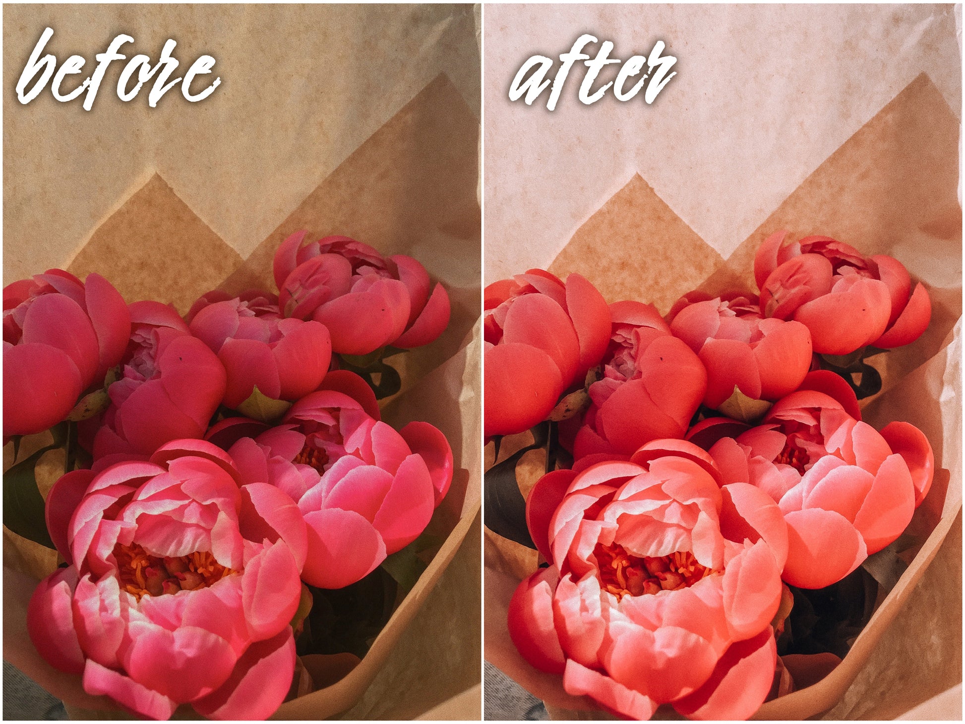 Pretty Pack - Alicephotostudio