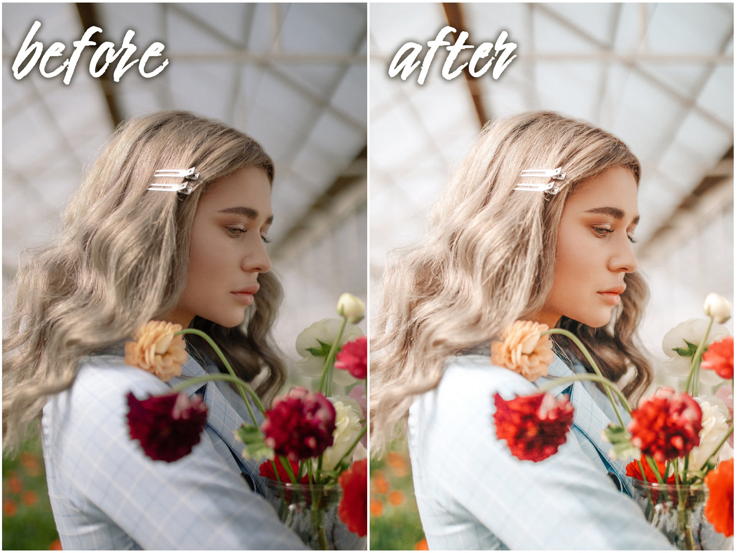 Gentle Pack - Alicephotostudio