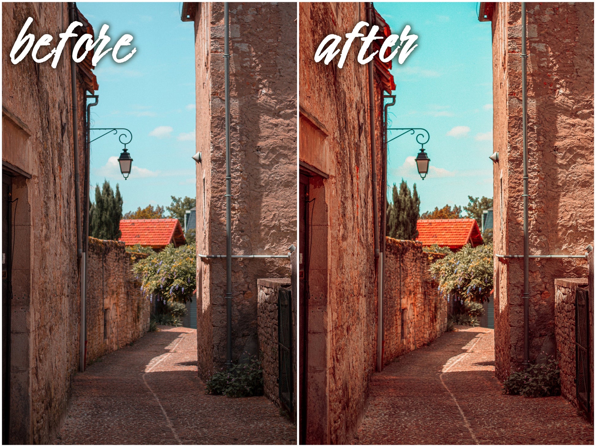 Travel Pack - Alicephotostudio