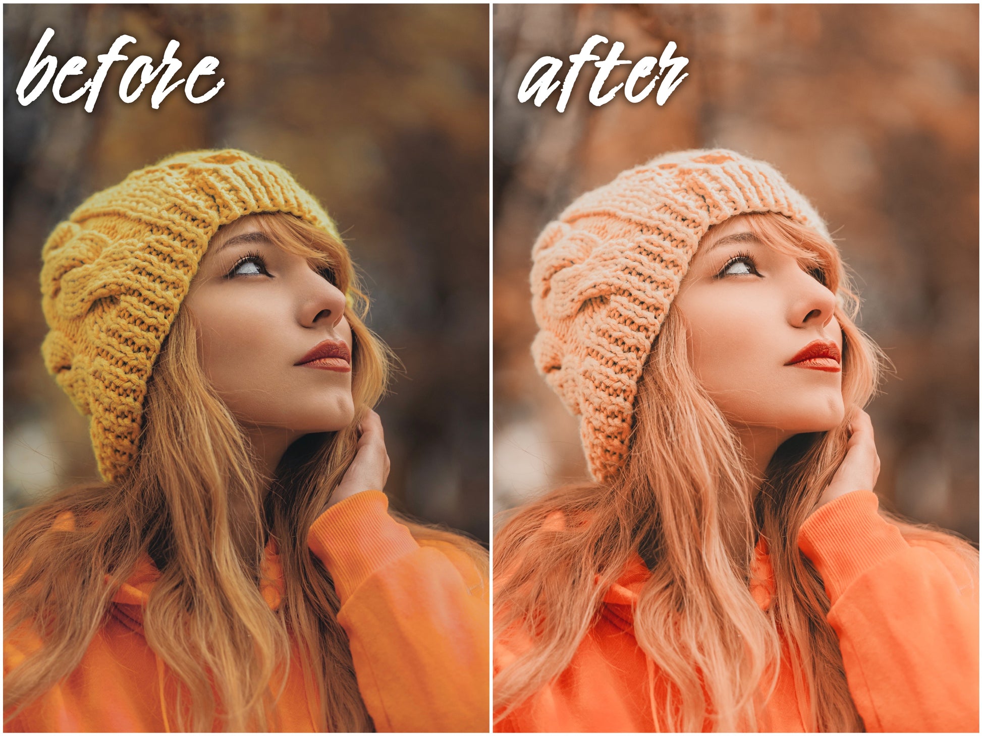 Pumpkin Pack - Alicephotostudio