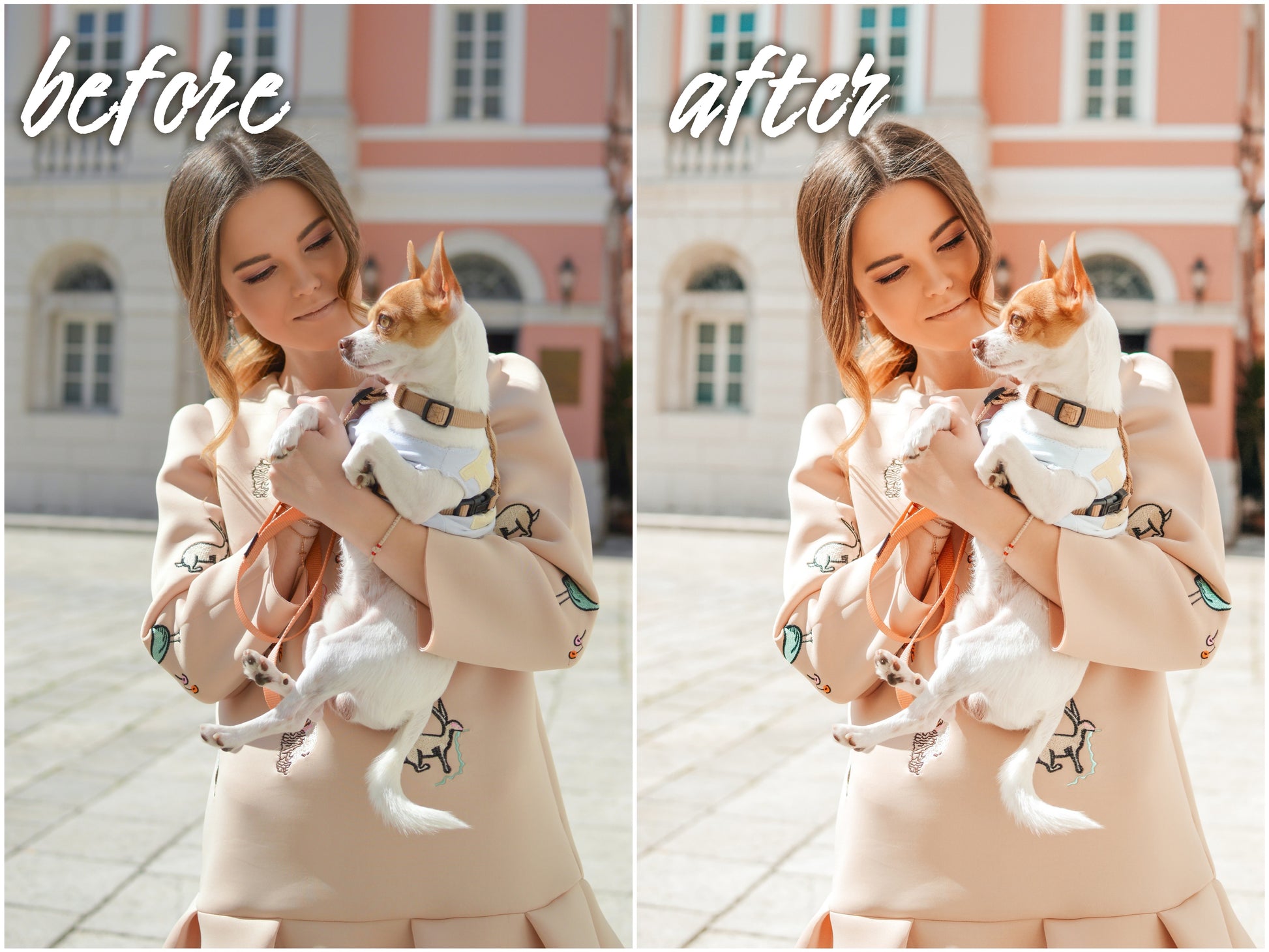 Blogger - Alicephotostudio