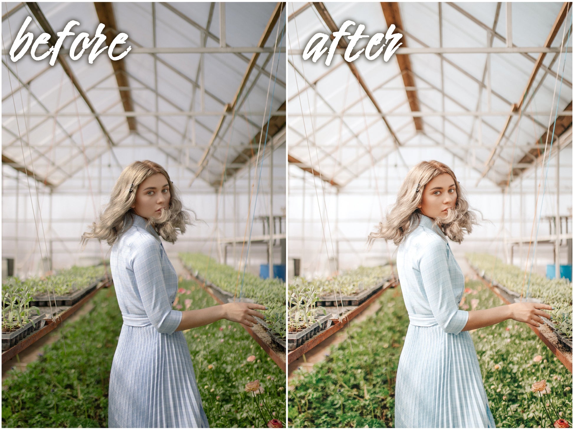 Gentle Pack - Alicephotostudio