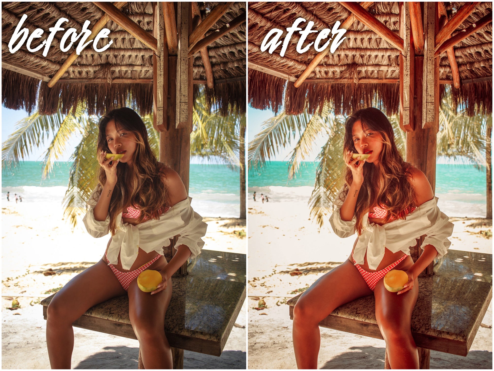 Travel Pack - Alicephotostudio