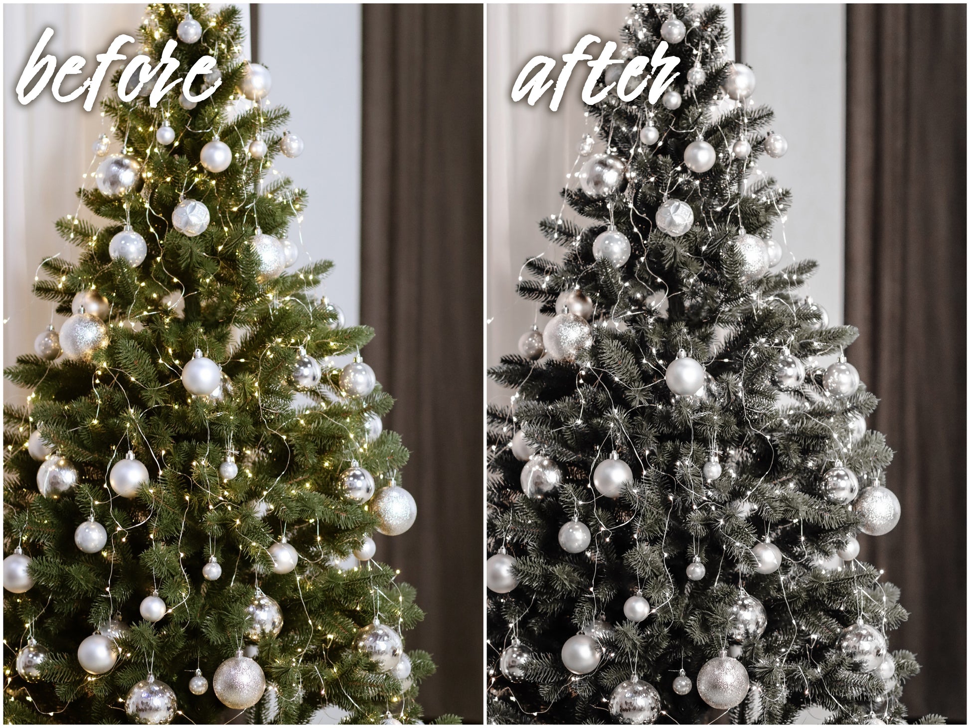 Silver Pack - Alicephotostudio