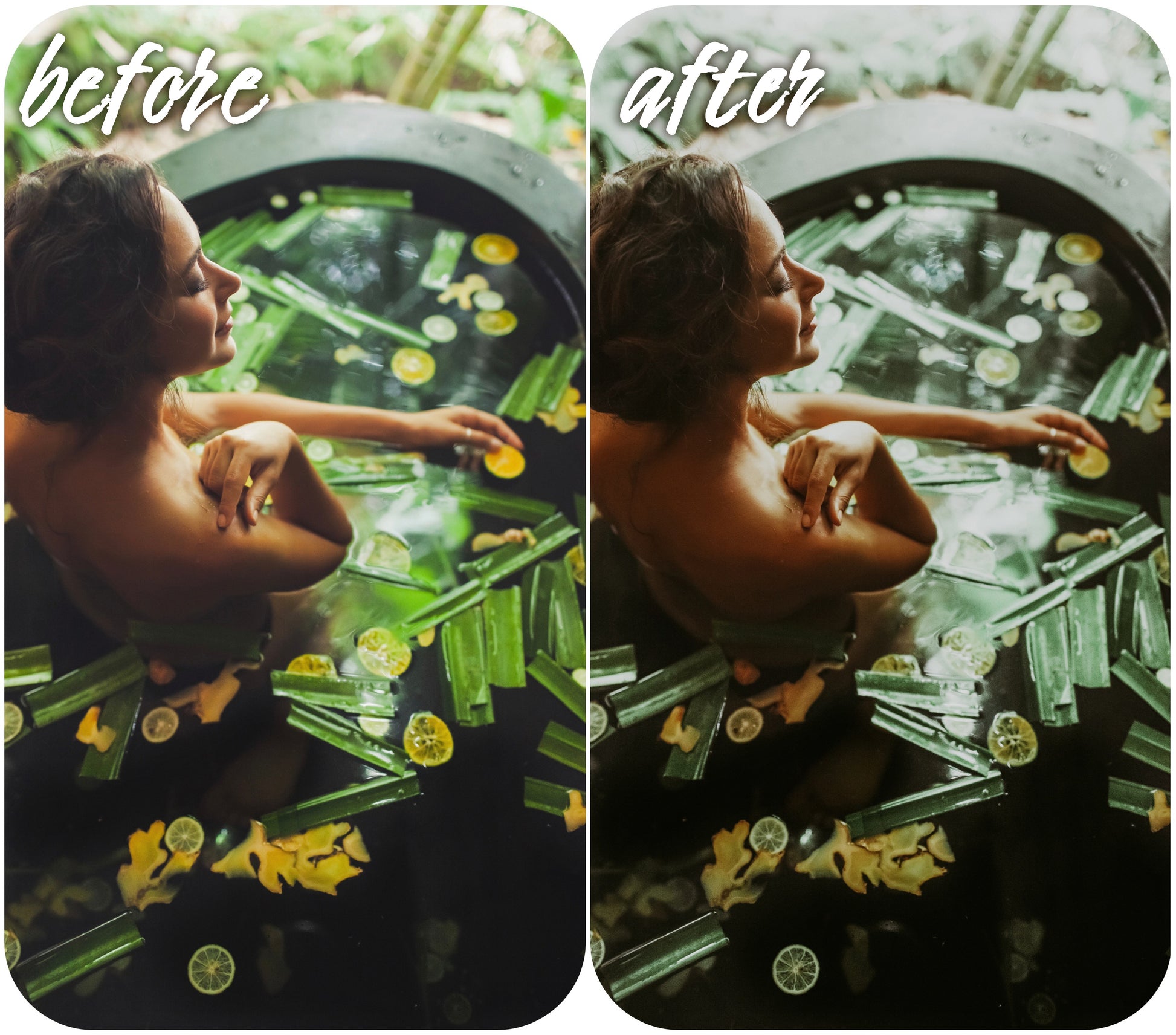 Hot Tropics - Alicephotostudio