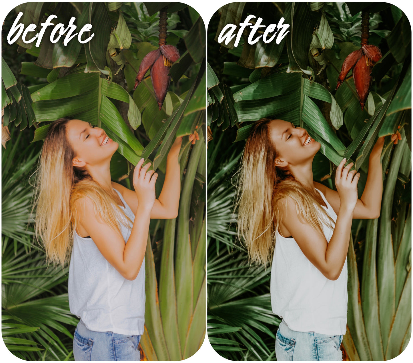 Hot Tropics - Alicephotostudio