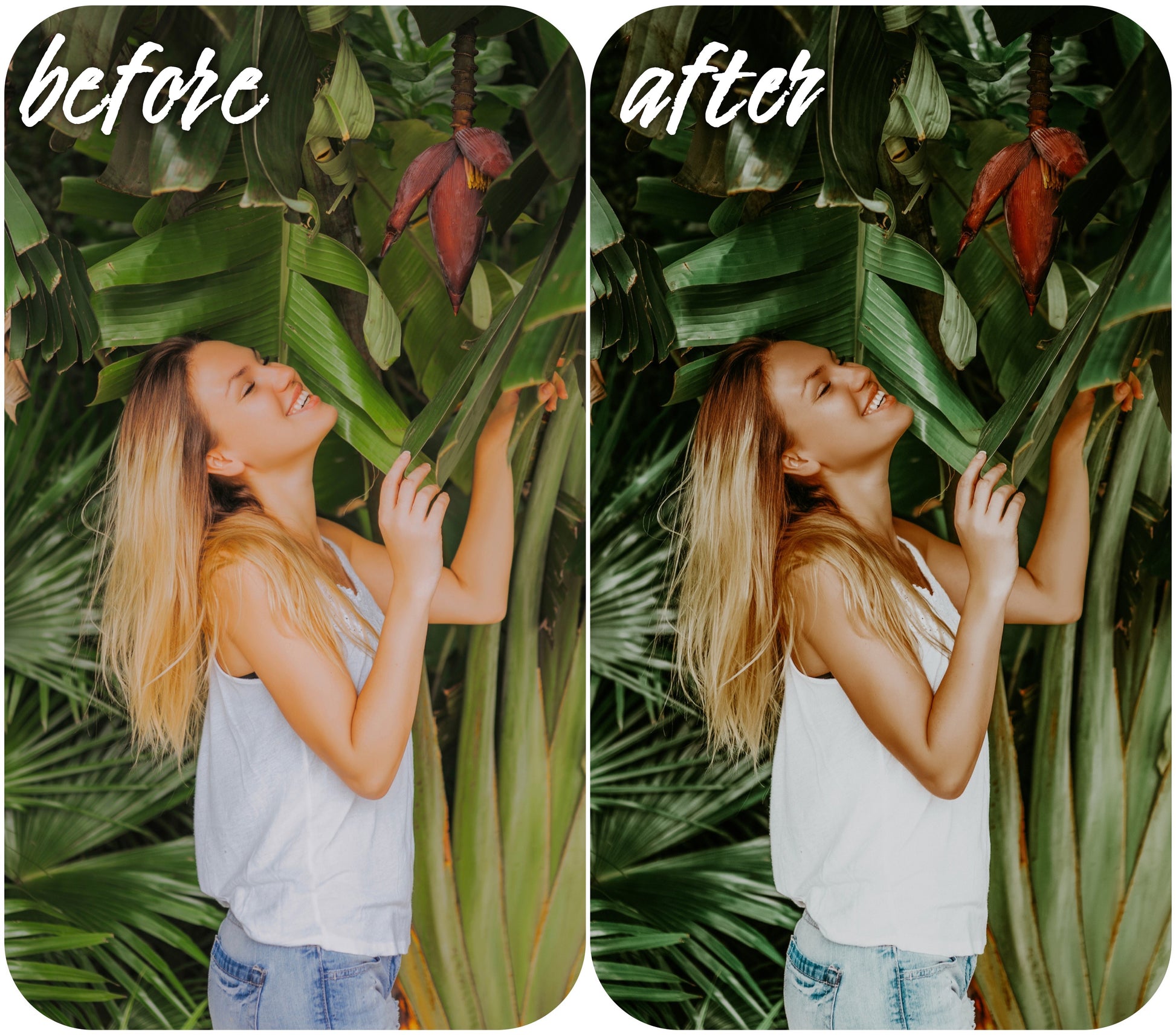 Hot Tropics - Alicephotostudio