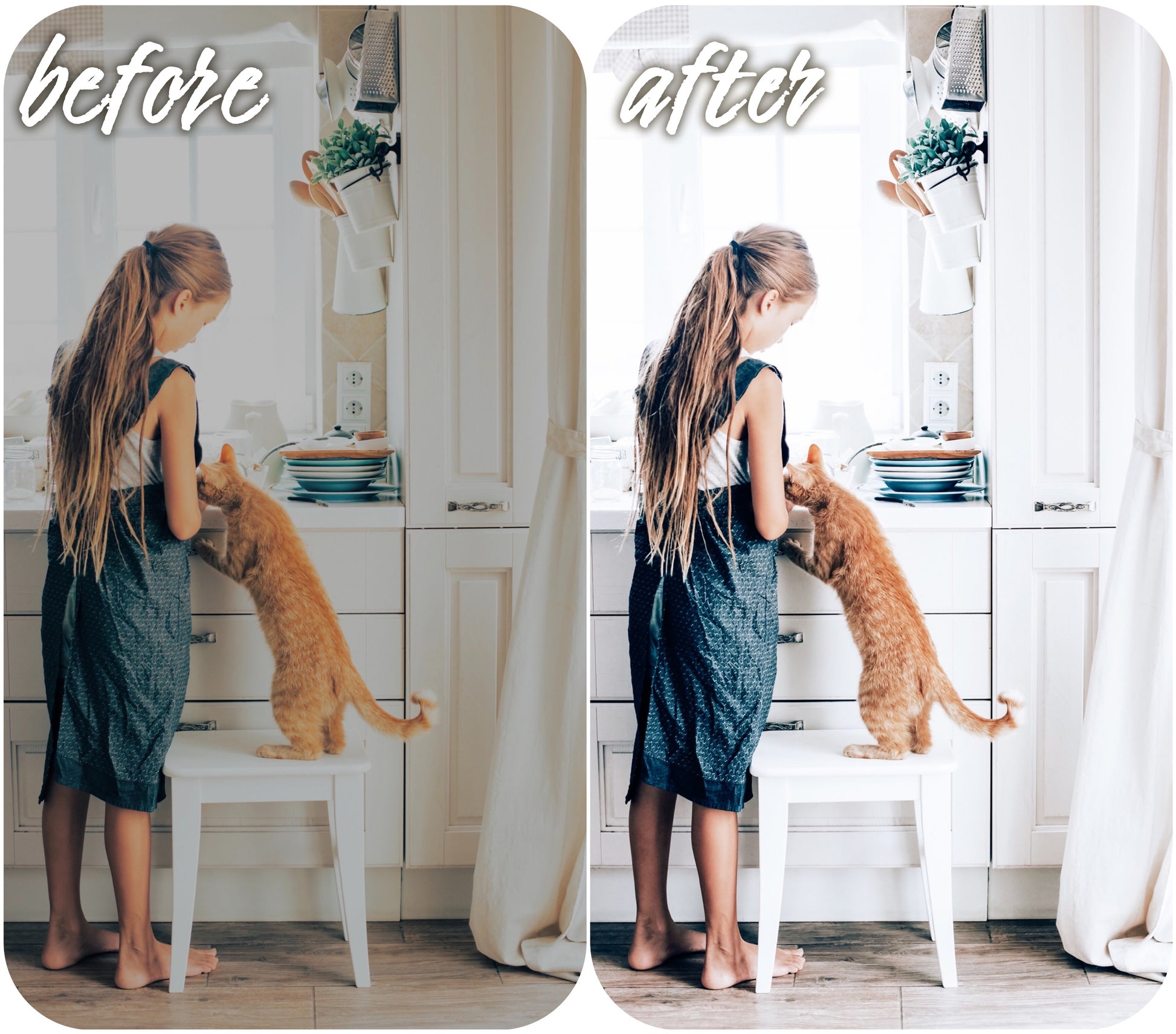 Milk Home - Alicephotostudio