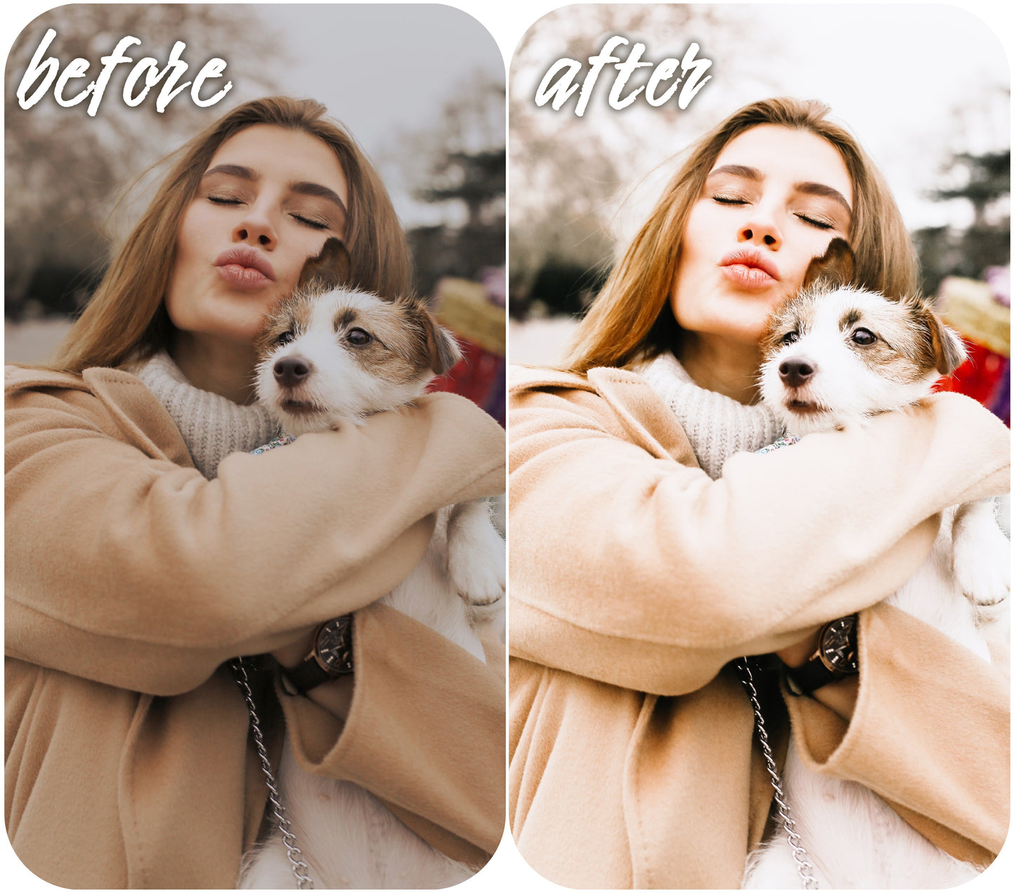 Light Touch - Alicephotostudio