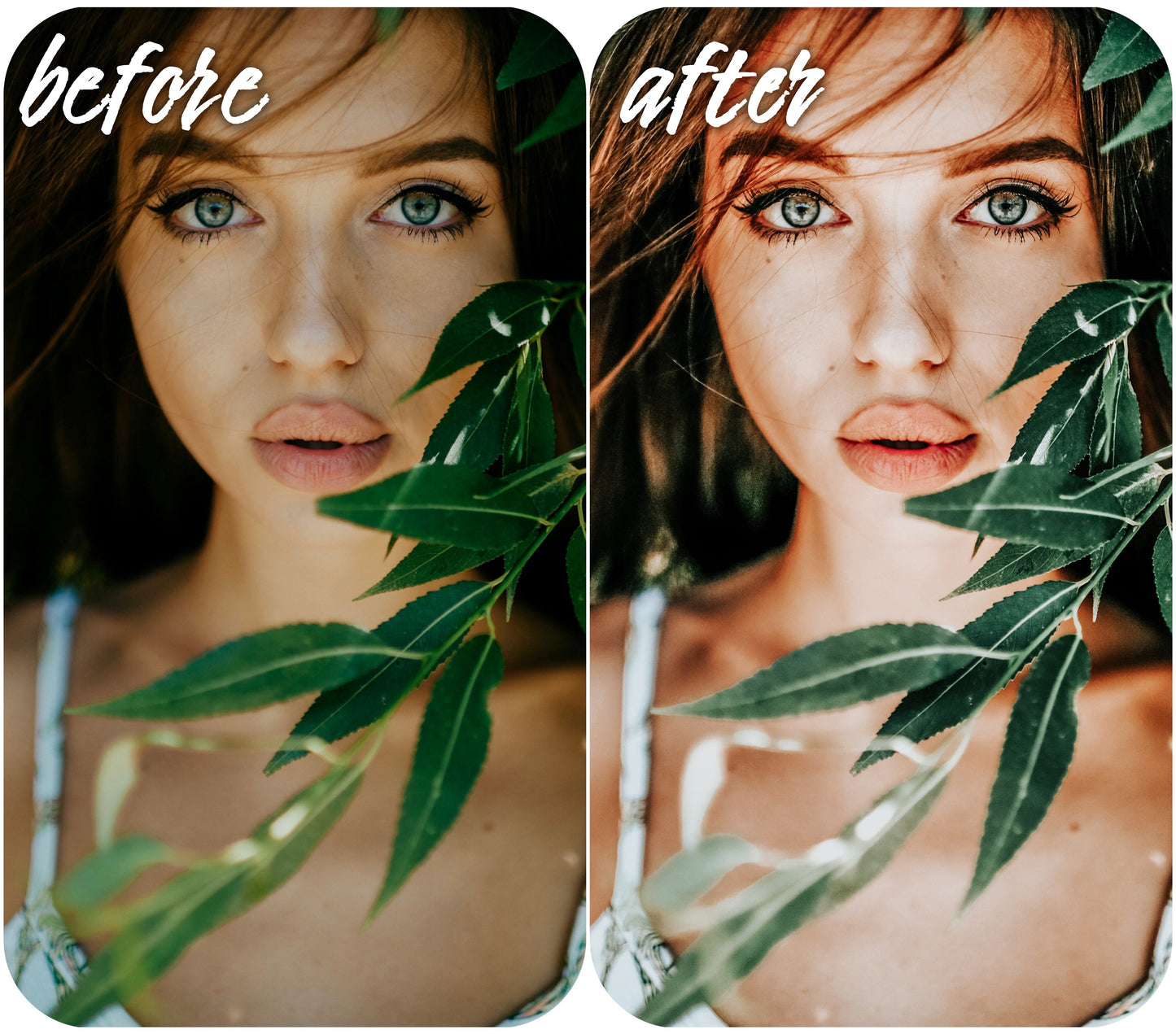 Sun Light - Alicephotostudio