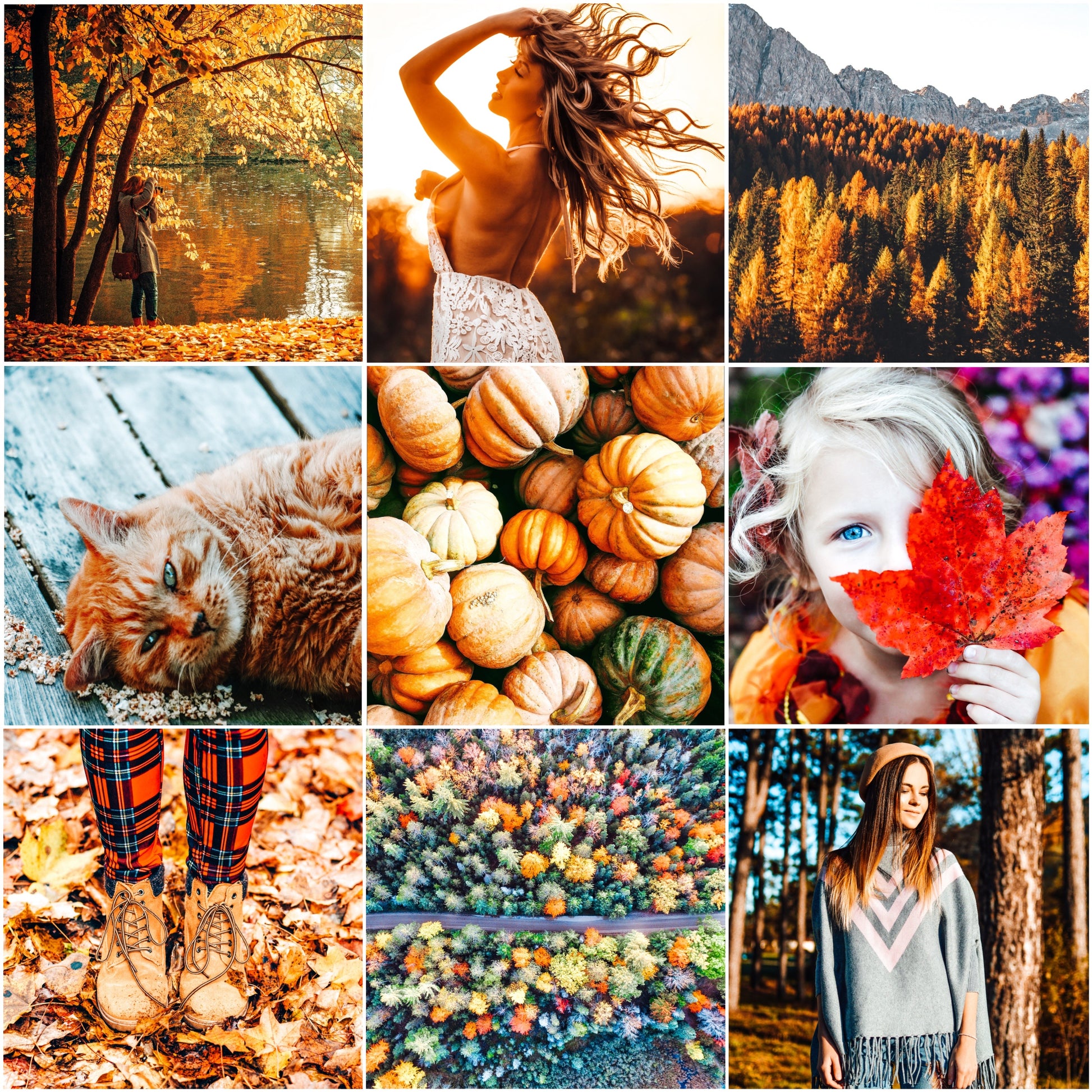 Whole Shop XMP bundle - Alicephotostudio