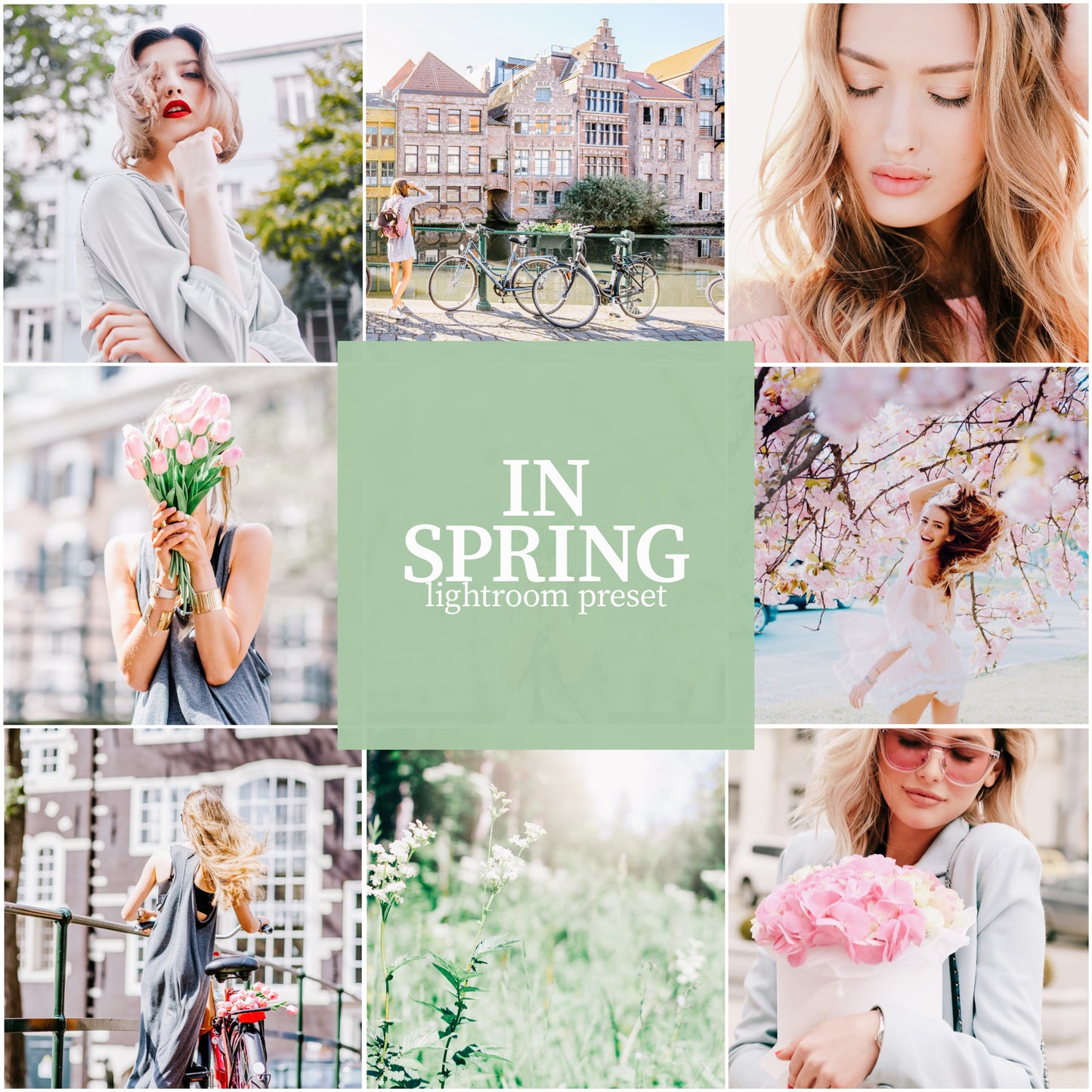 Whole Shop bundle - Alicephotostudio