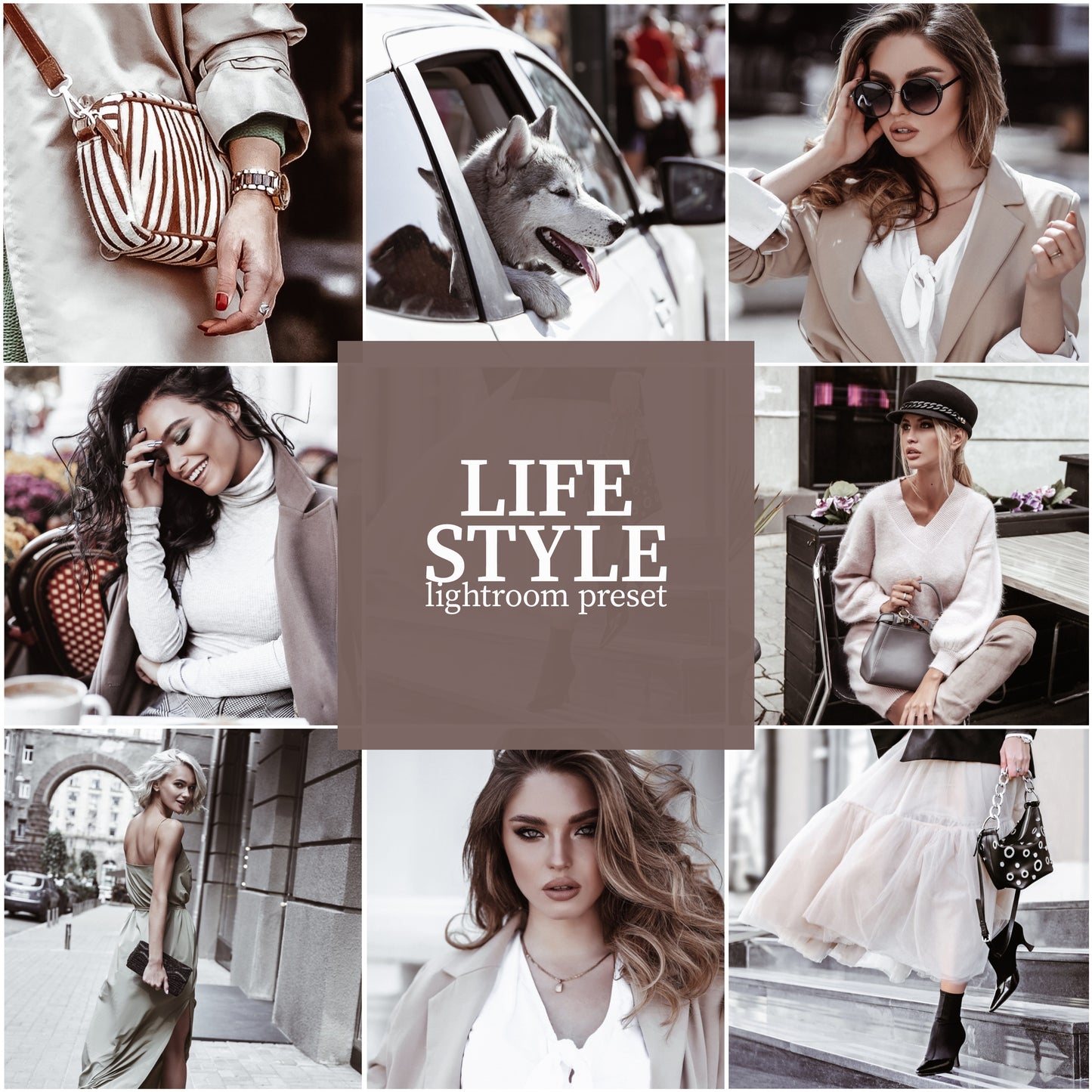 Whole Shop bundle - Alicephotostudio