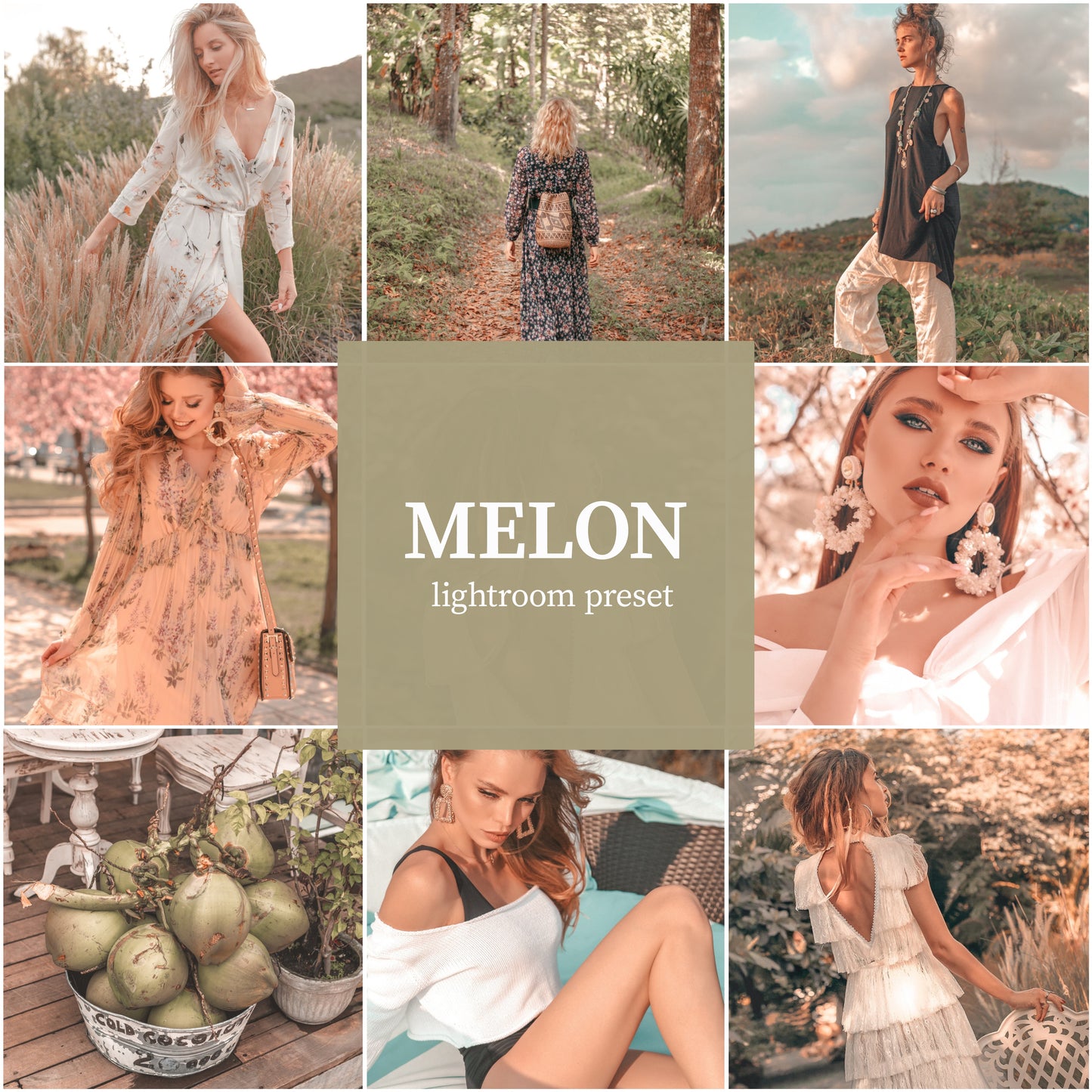 Whole Shop bundle - Alicephotostudio